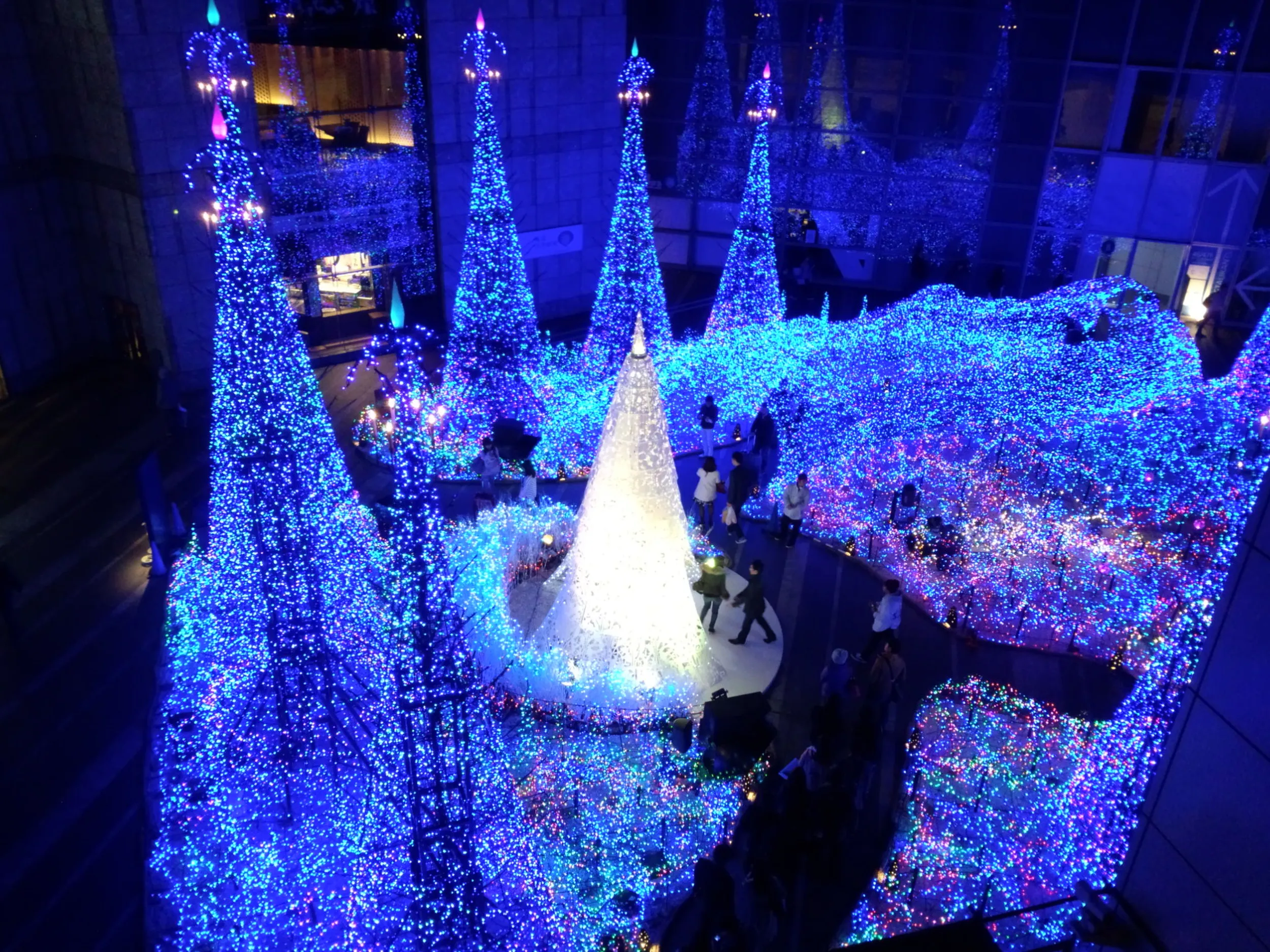 イルミネーション