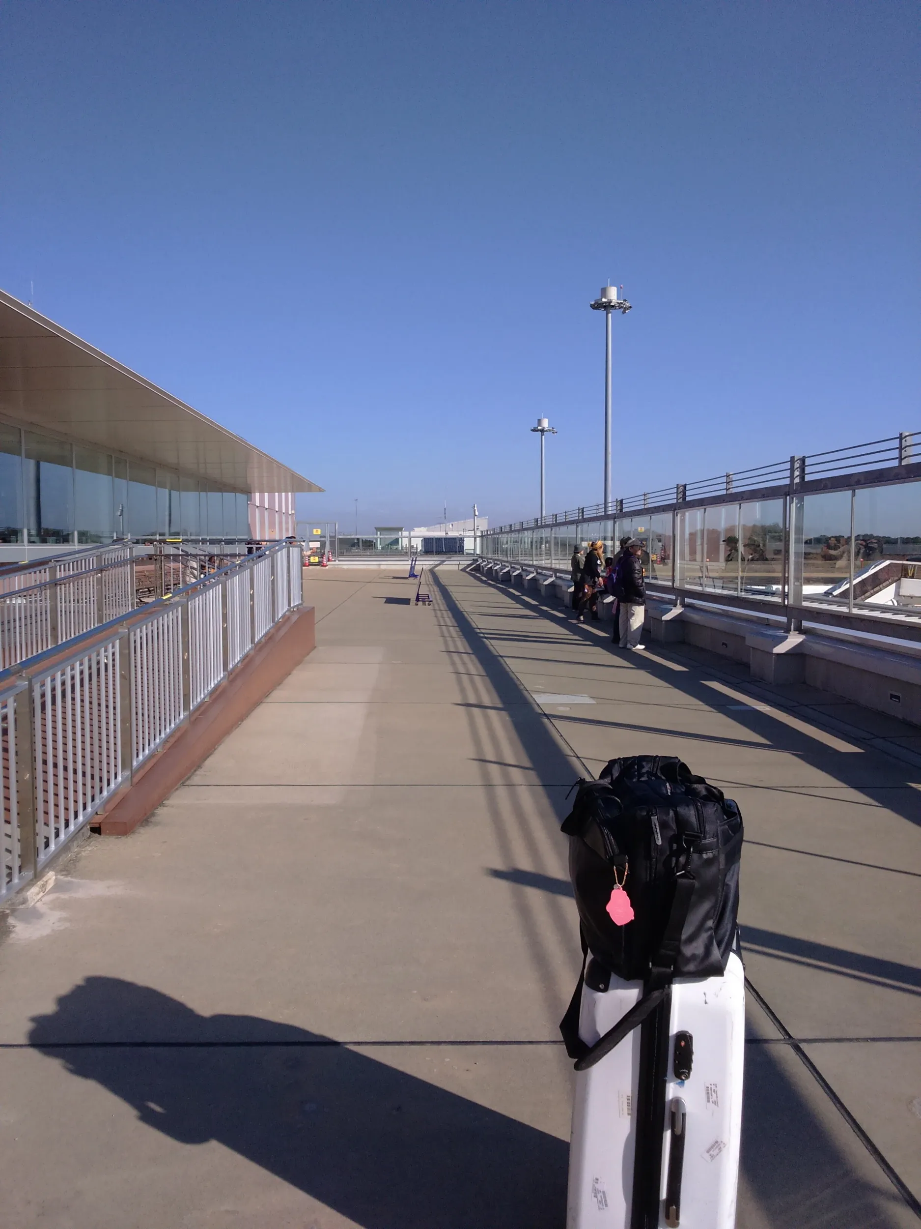 サバの味噌煮定食