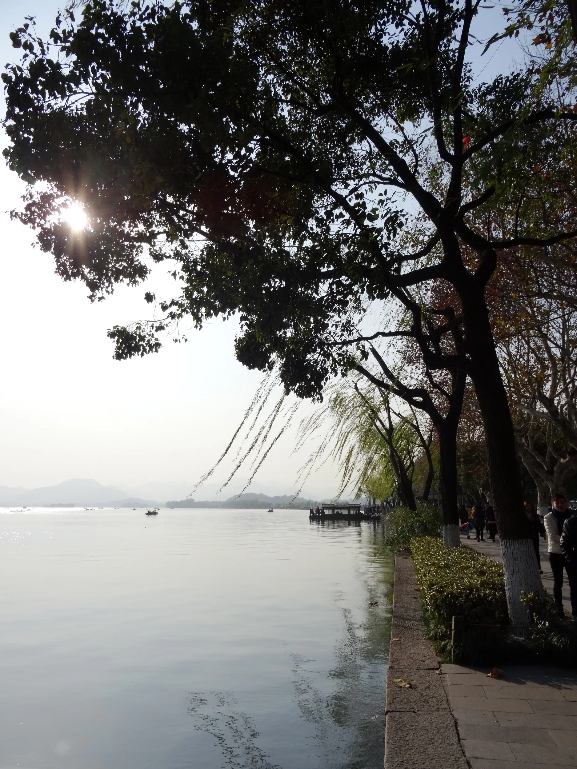 西湖の風景