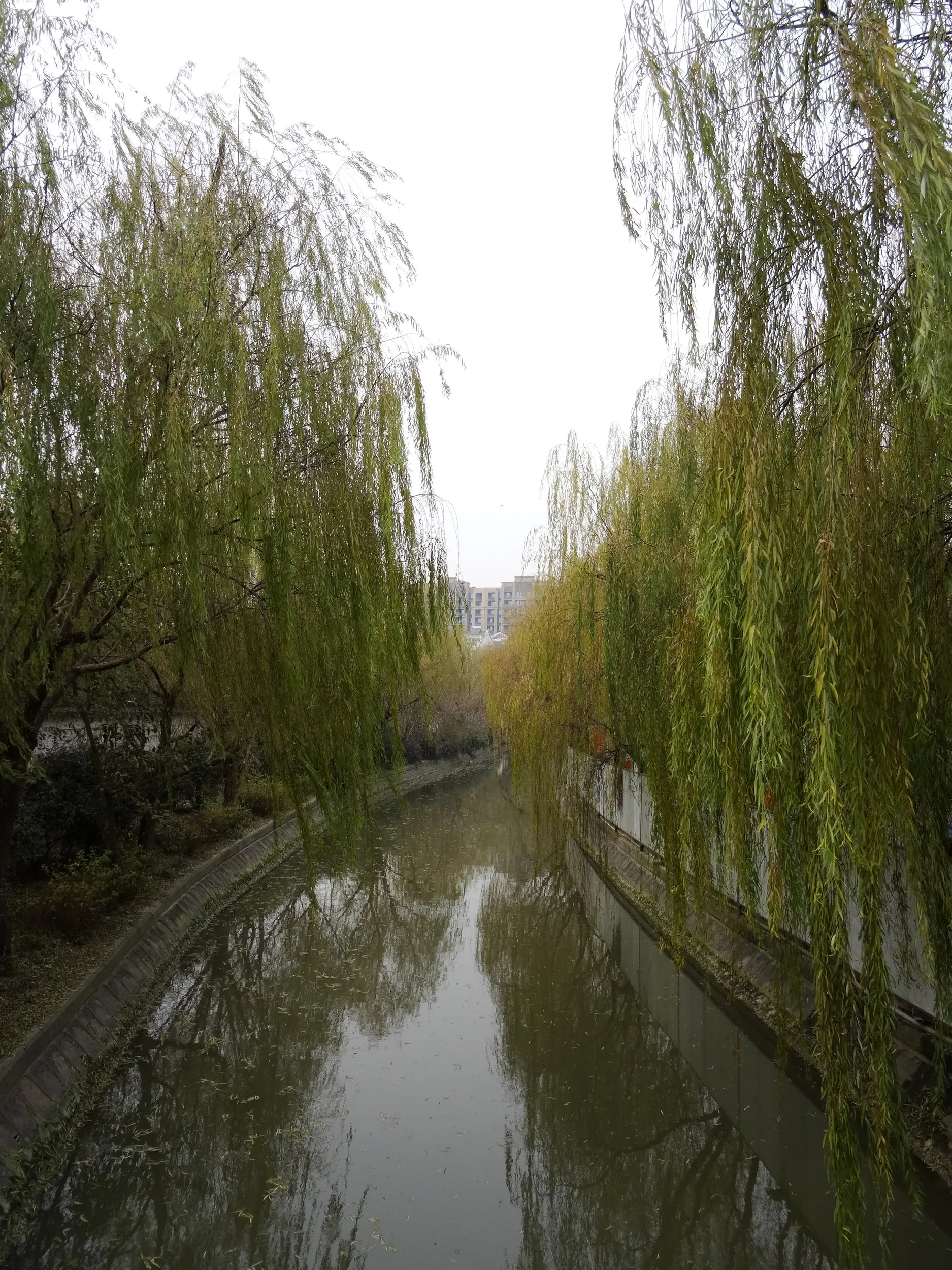 南翔老街までの道のり