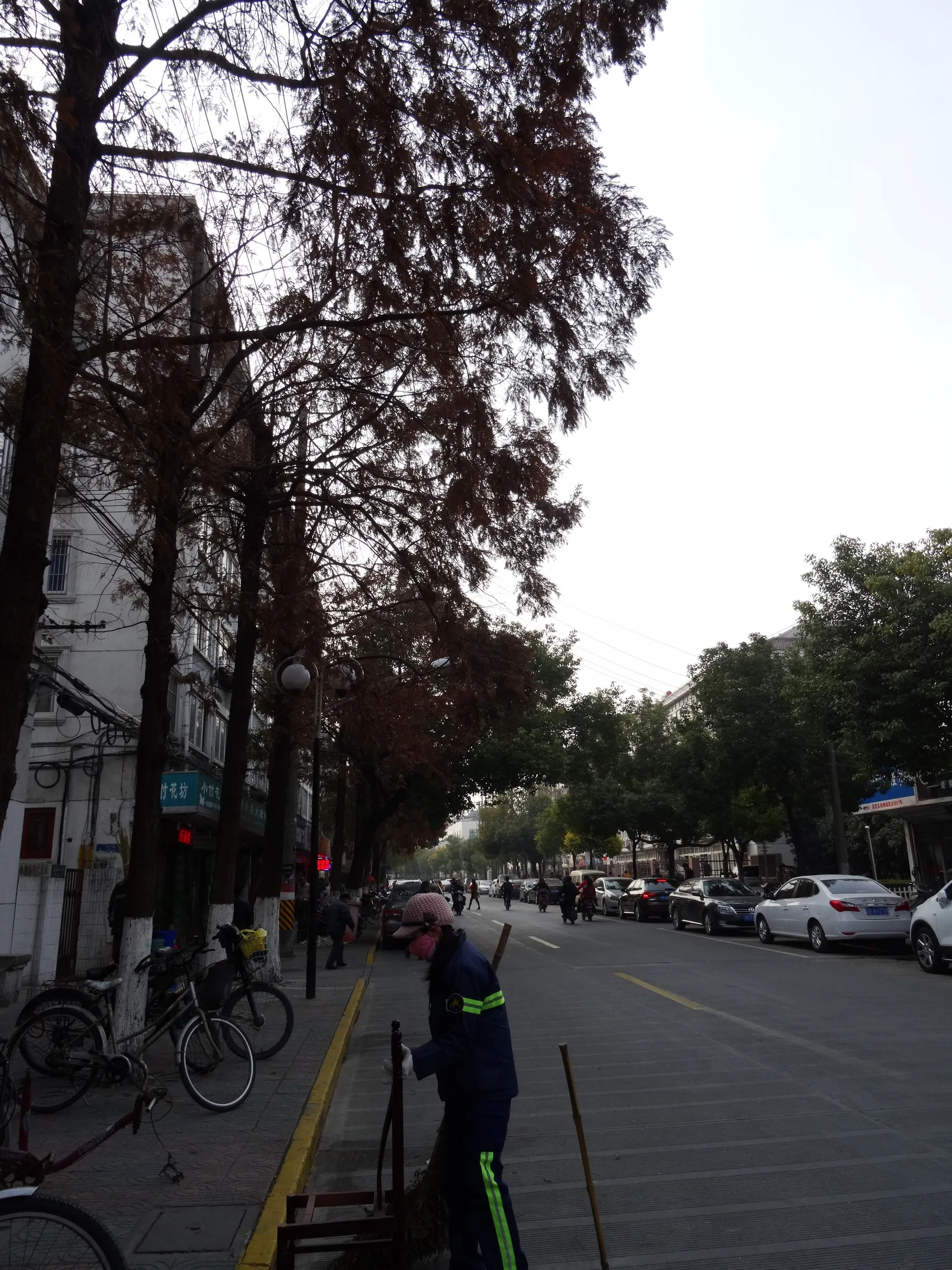 南翔老街付近の風景