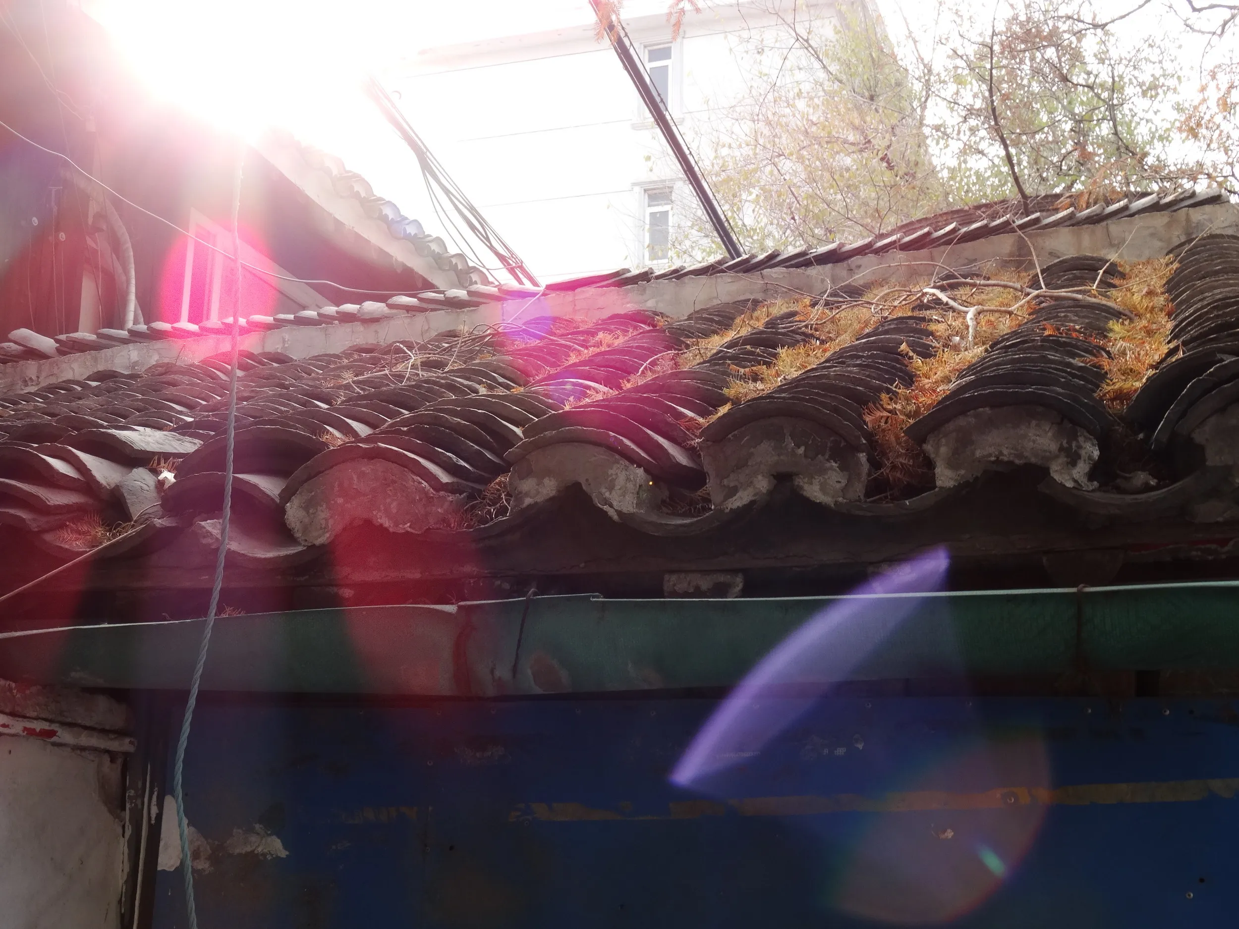 南翔老街付近の風景