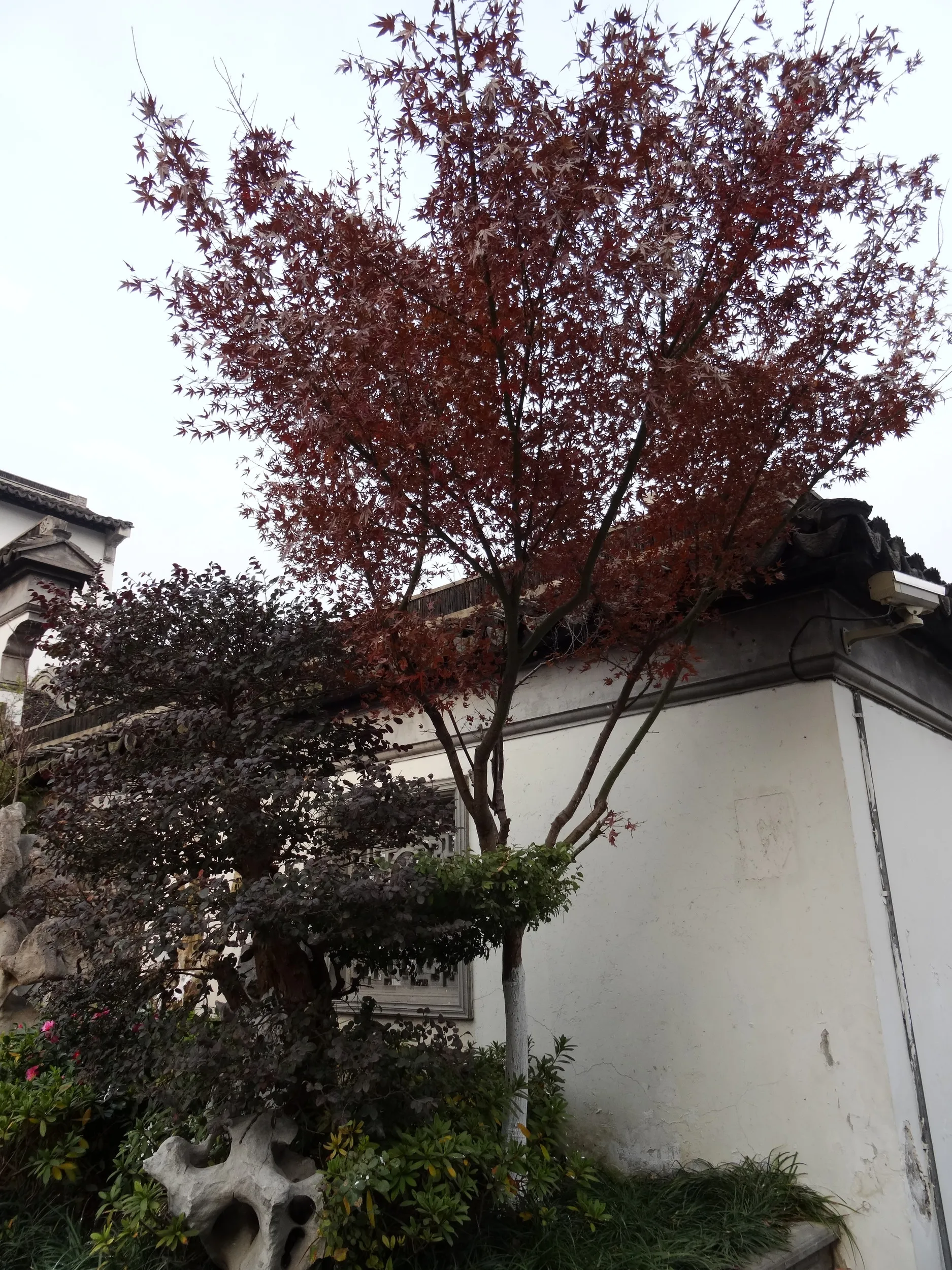 南翔老街、歩行者天国を観光