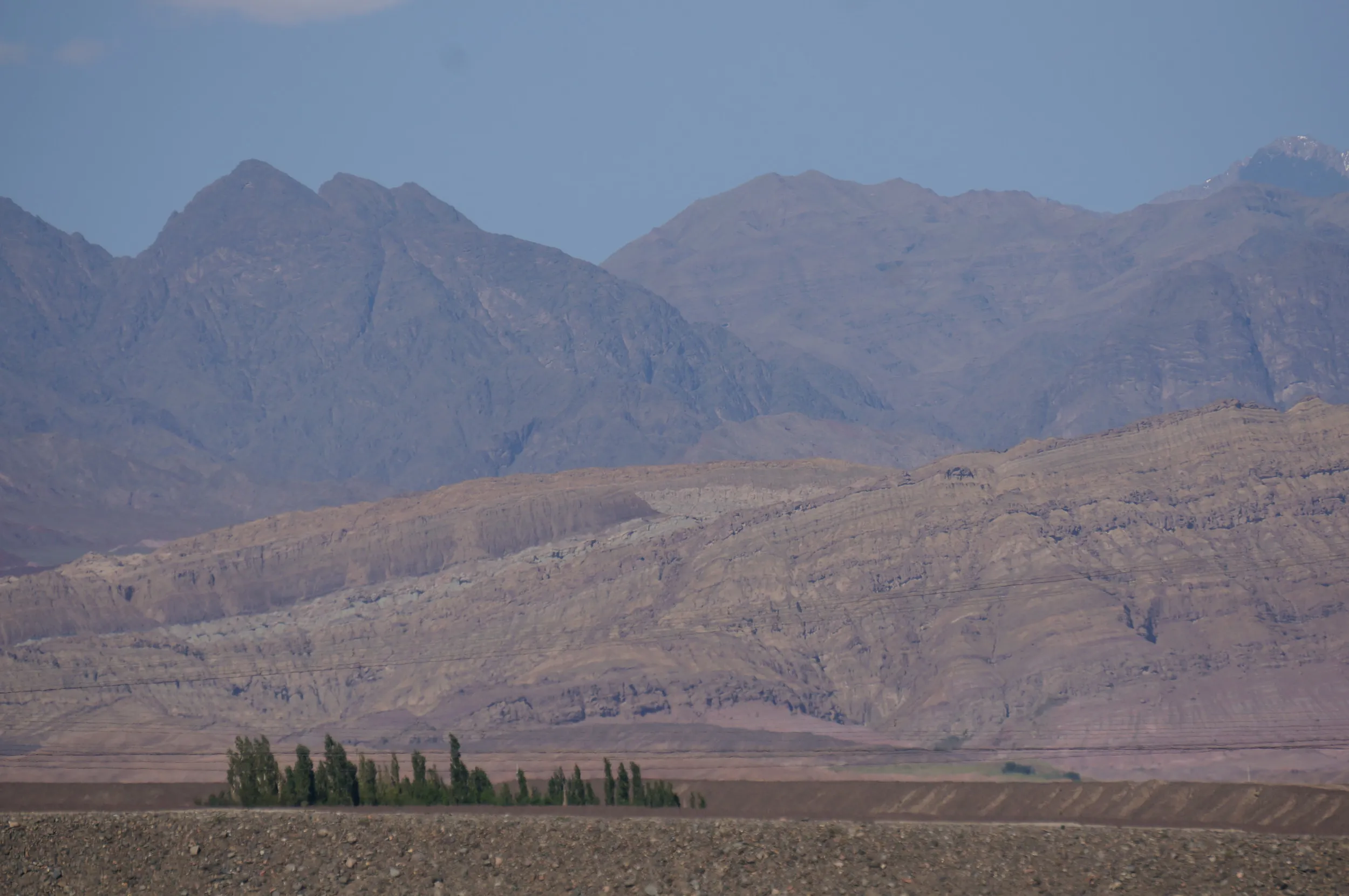 砂漠地帯を散歩