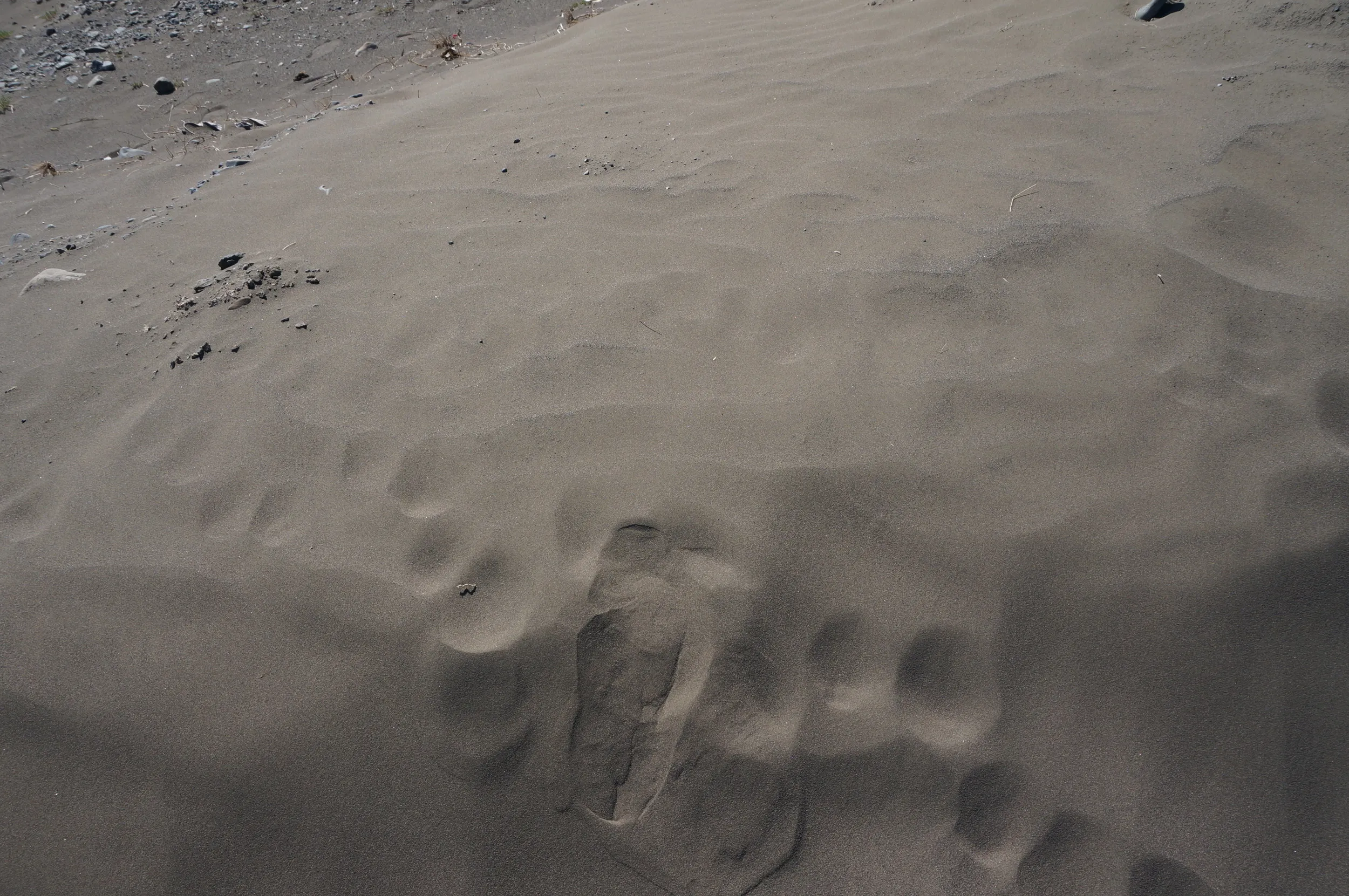 砂漠地帯を散歩