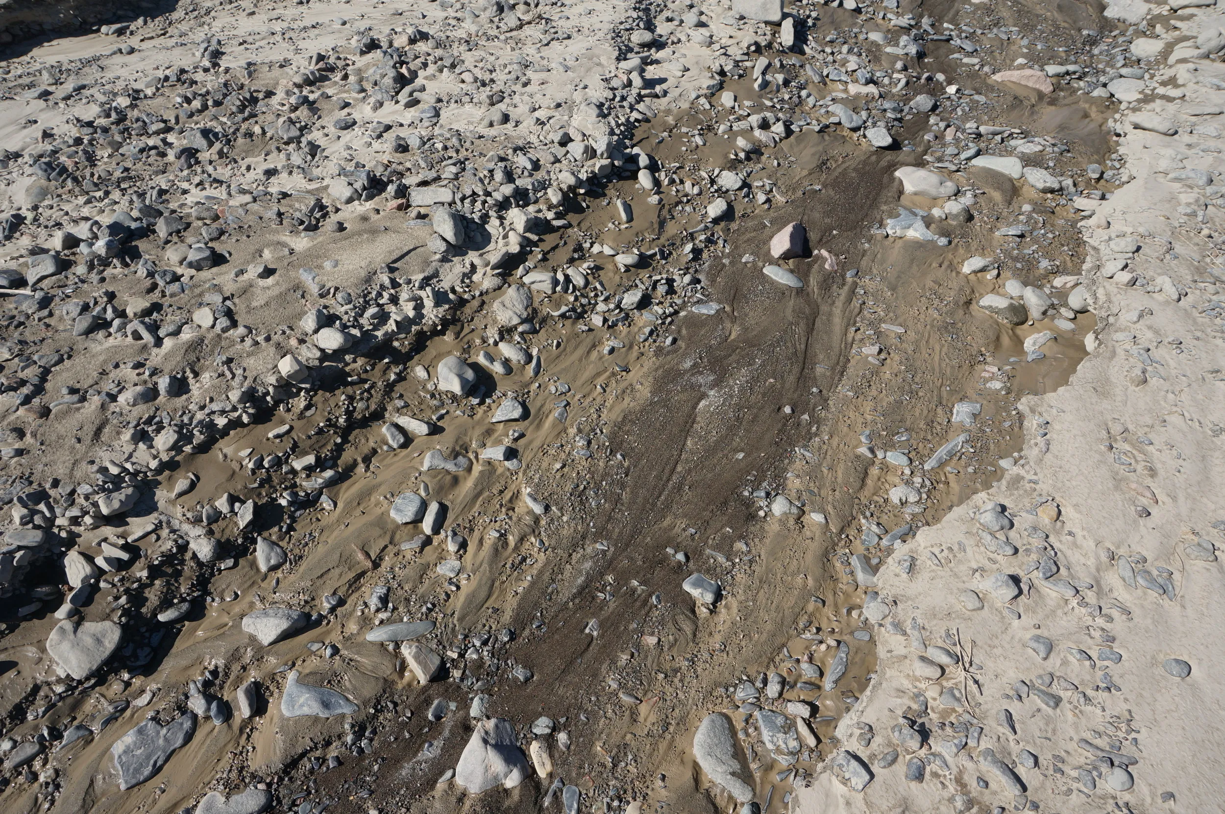 砂漠地帯を散歩