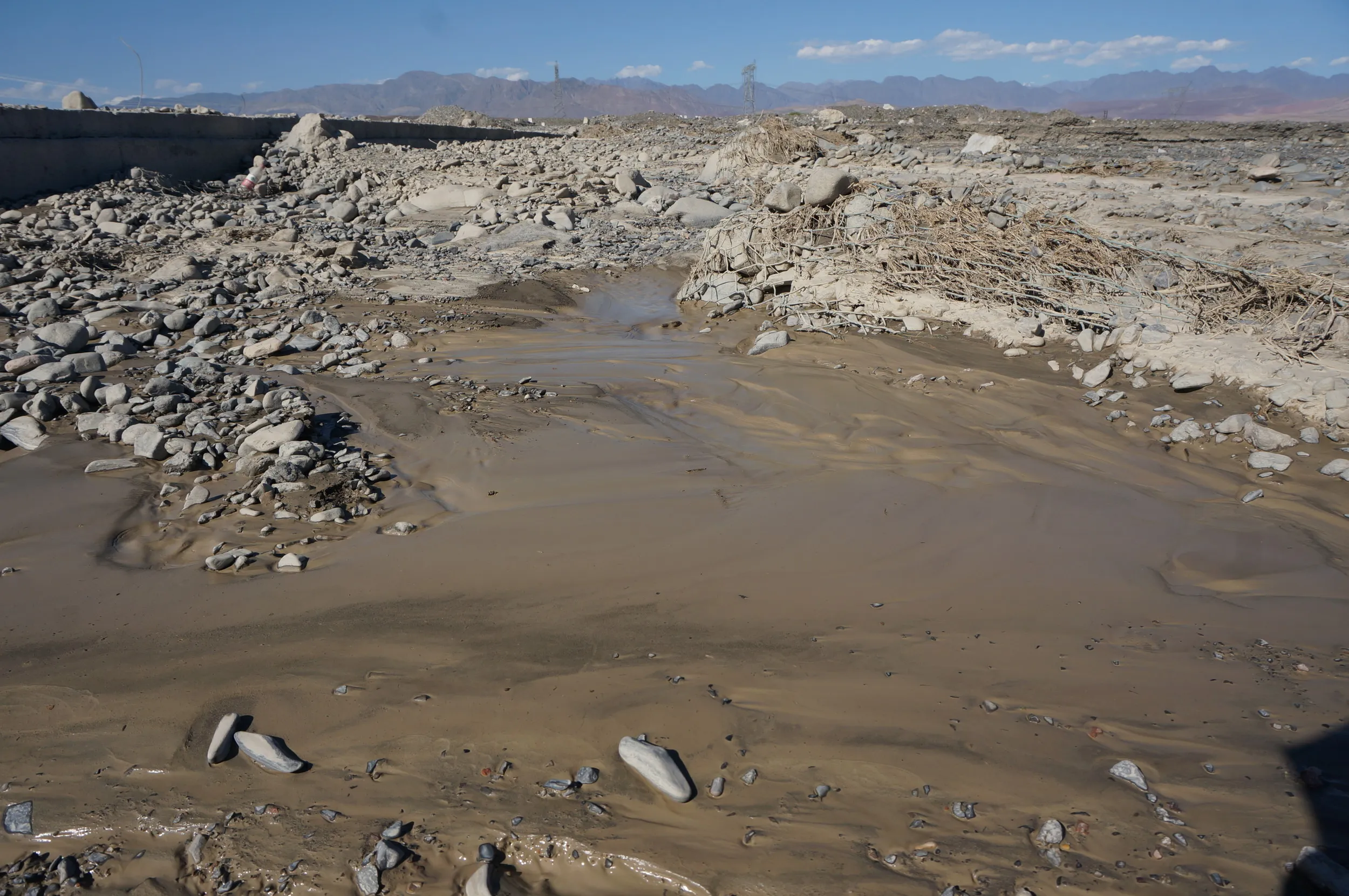 砂漠地帯を散歩