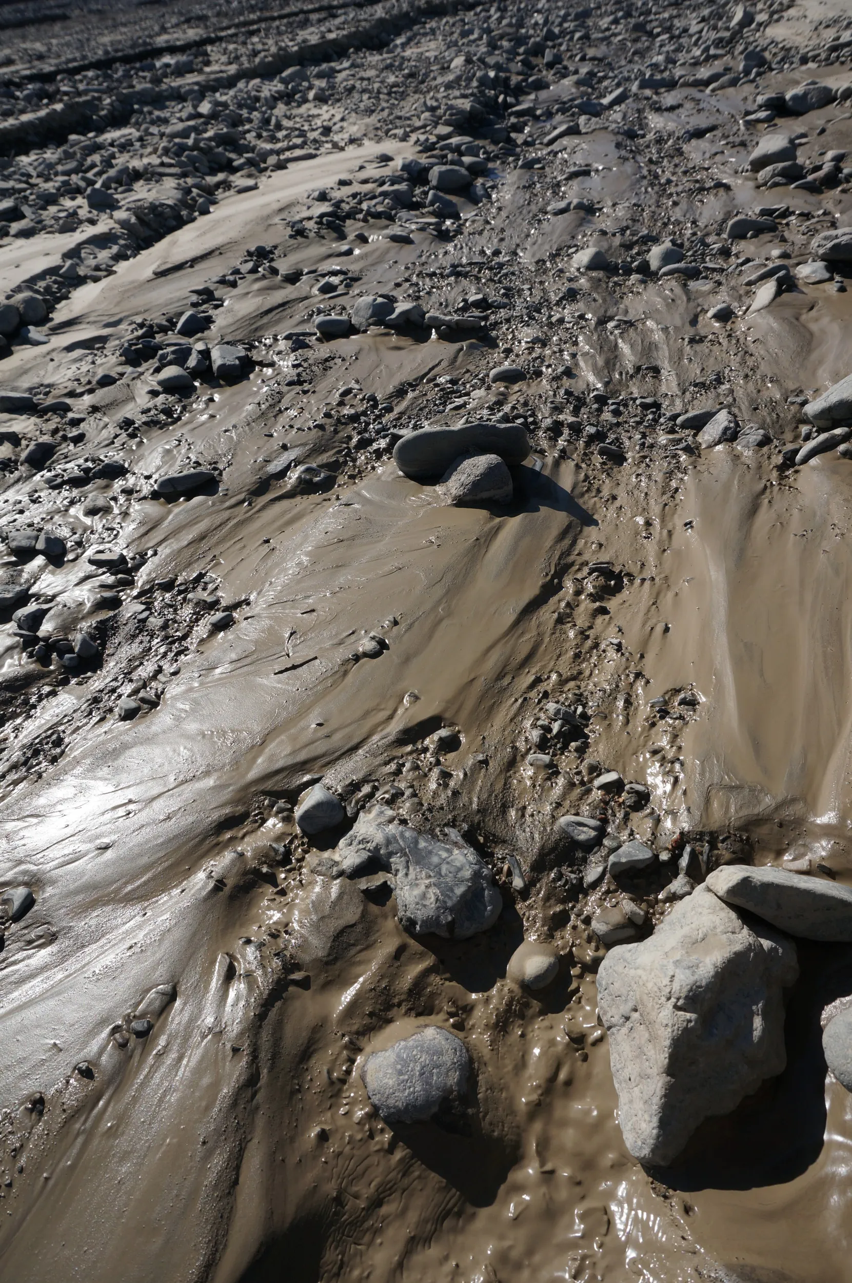 砂漠地帯を散歩