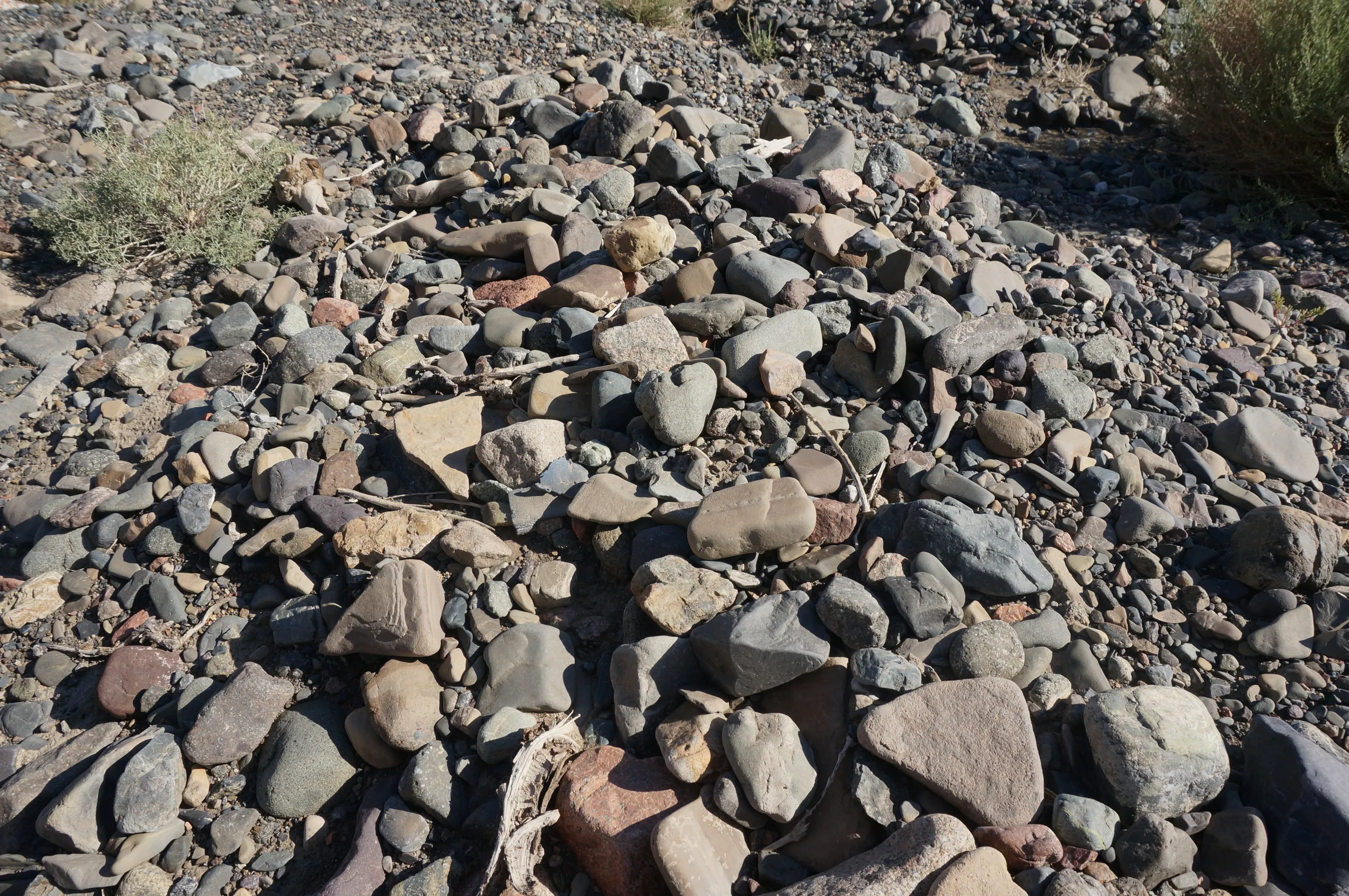 砂漠地帯を散歩