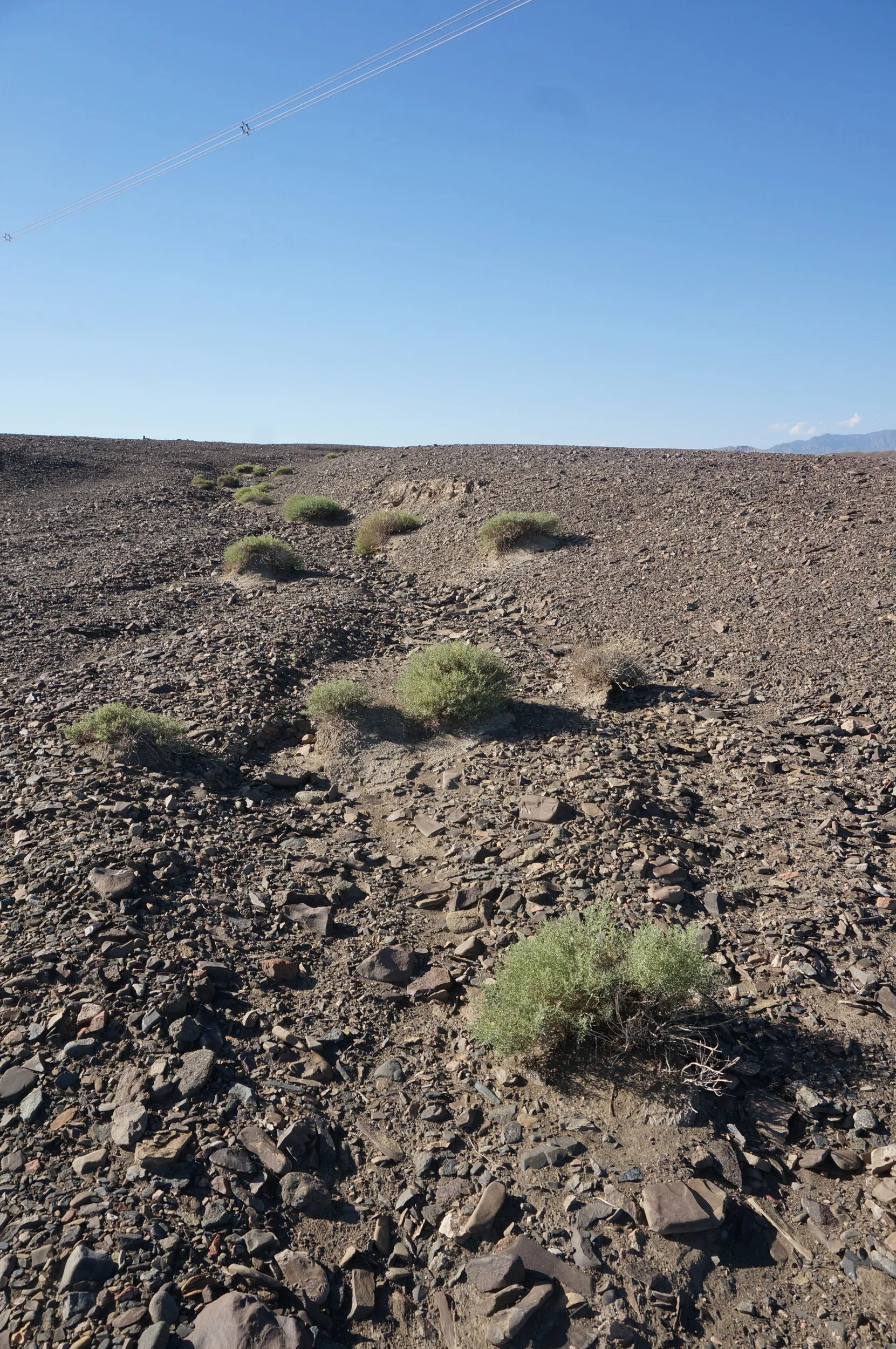 砂漠地帯を散歩