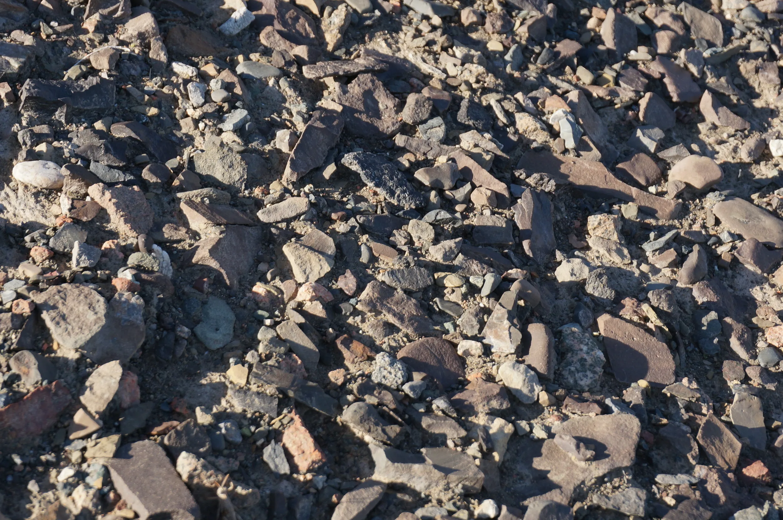 砂漠地帯を散歩