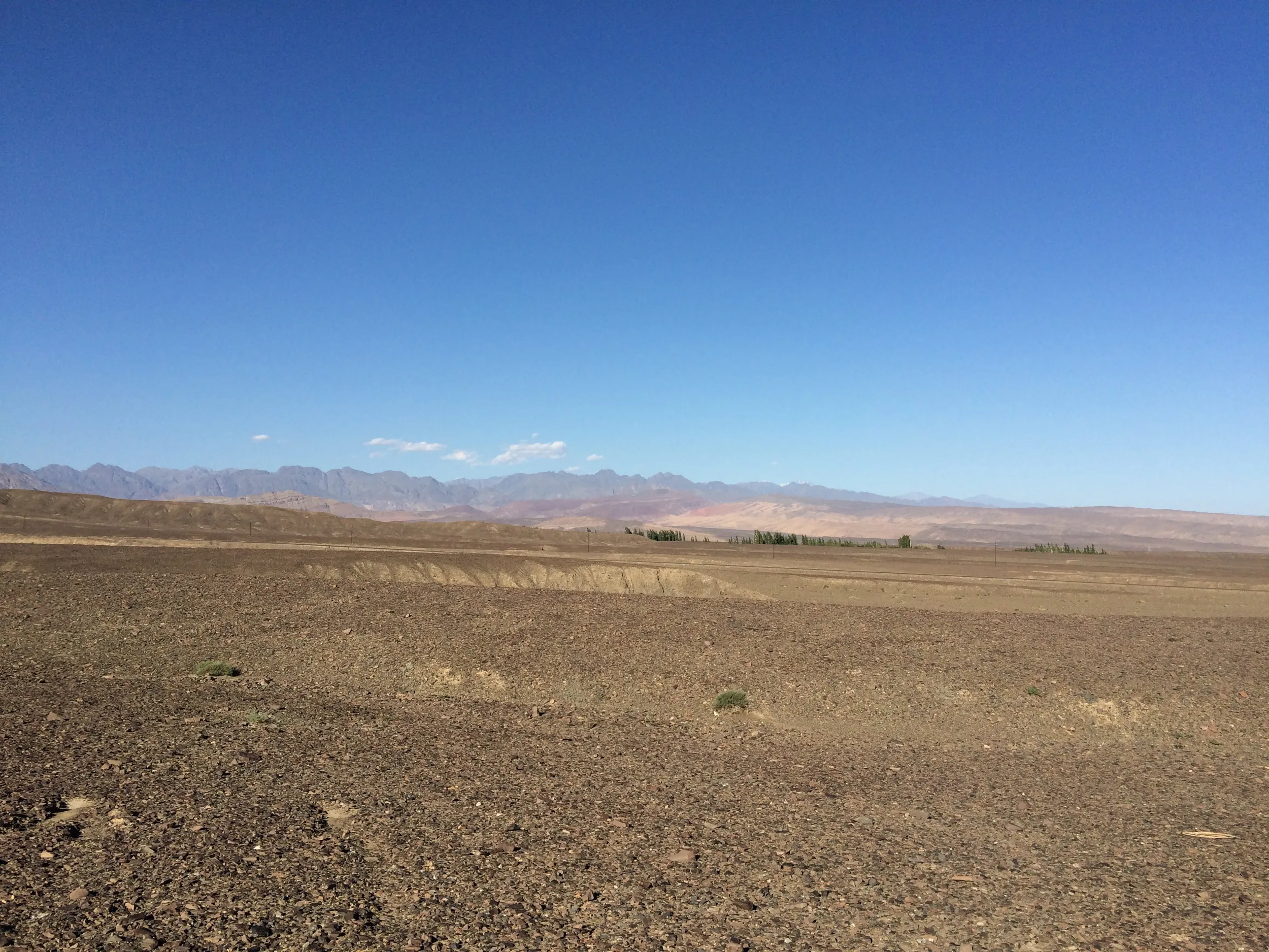 砂漠地帯を散歩