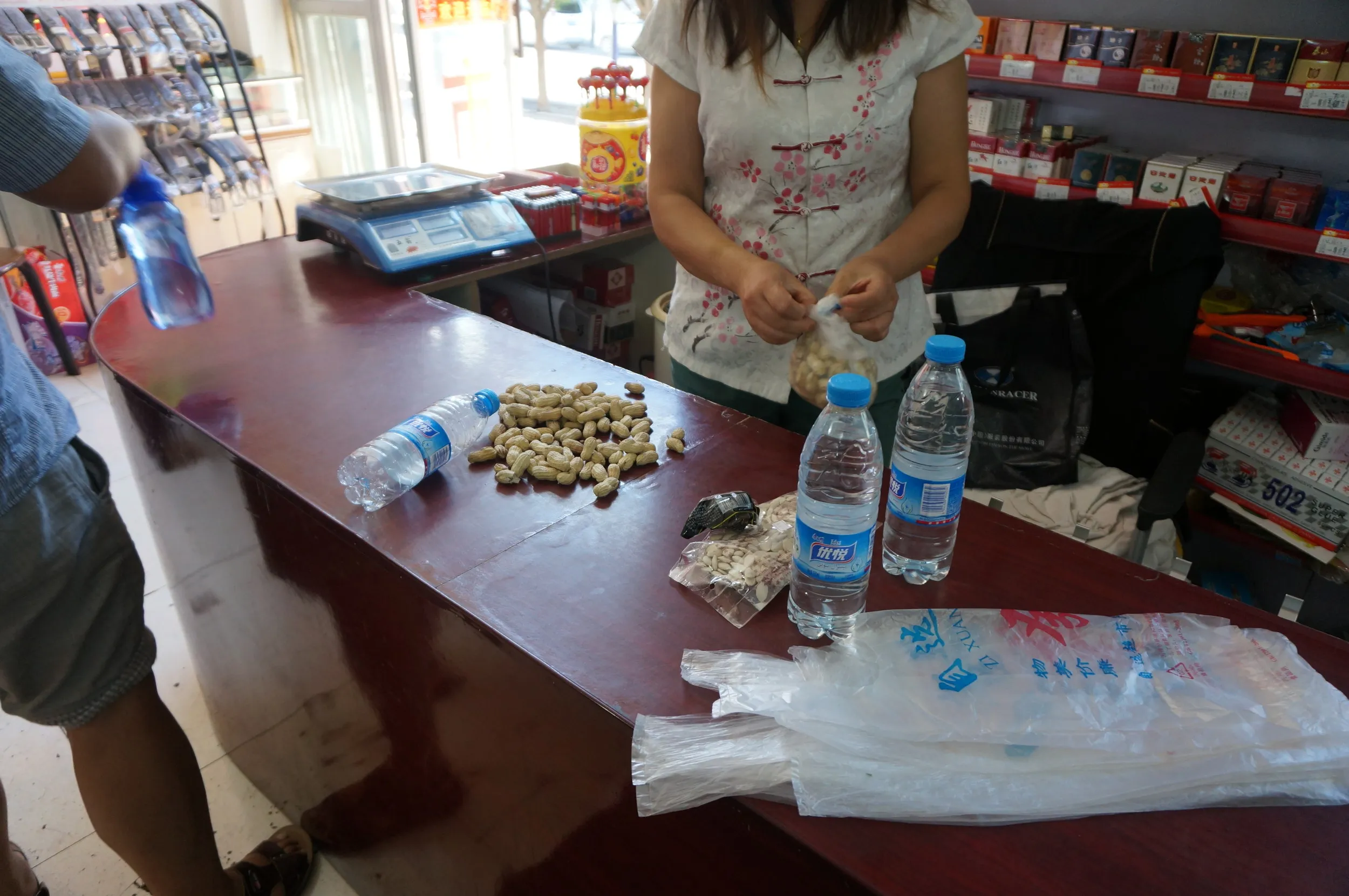 大河沿鎮で乗用車での日帰り観光ツアーに参加