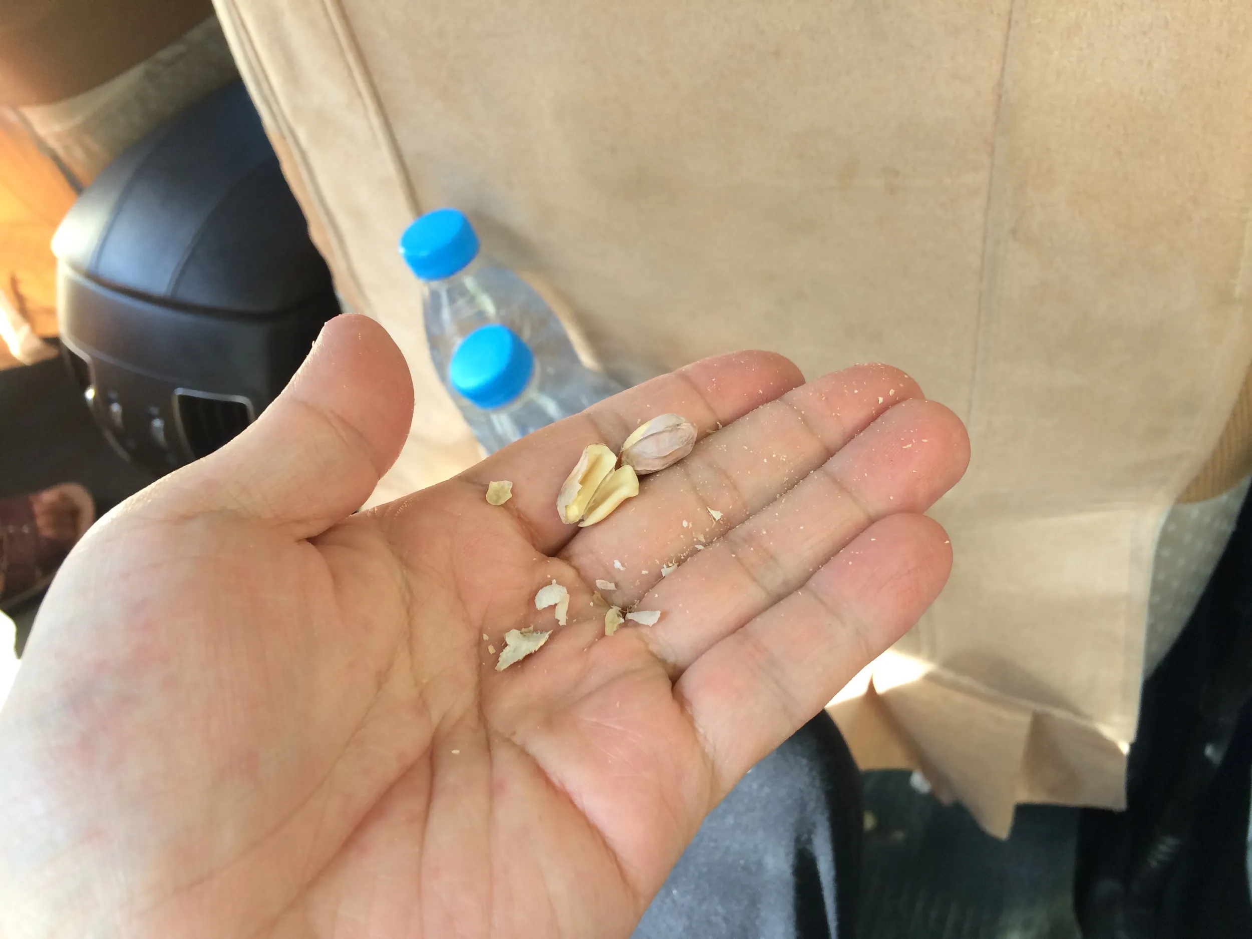 大河沿鎮で乗用車での日帰り観光ツアーに参加