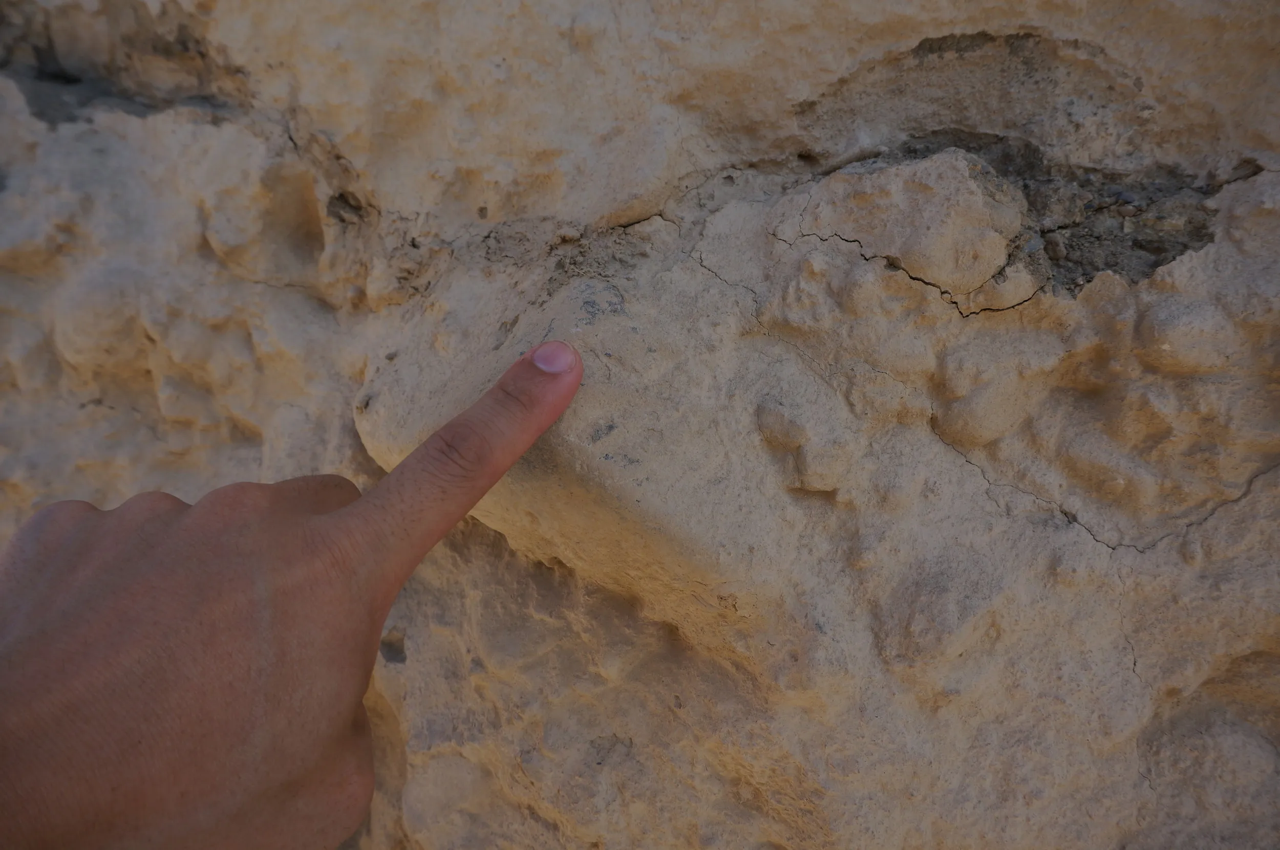 交河故城を観光