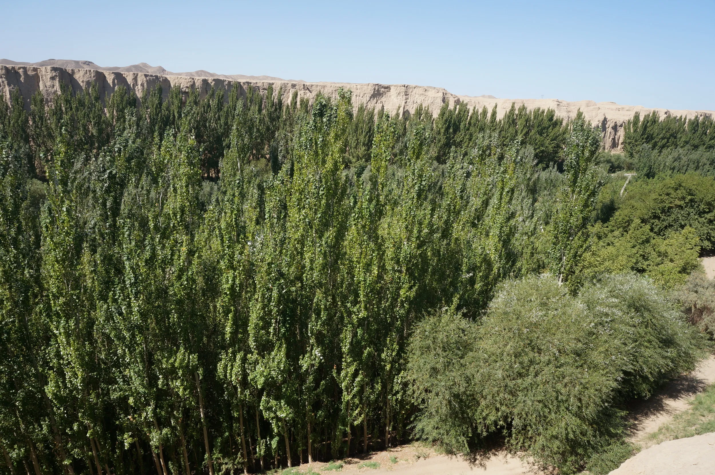 交河故城を観光