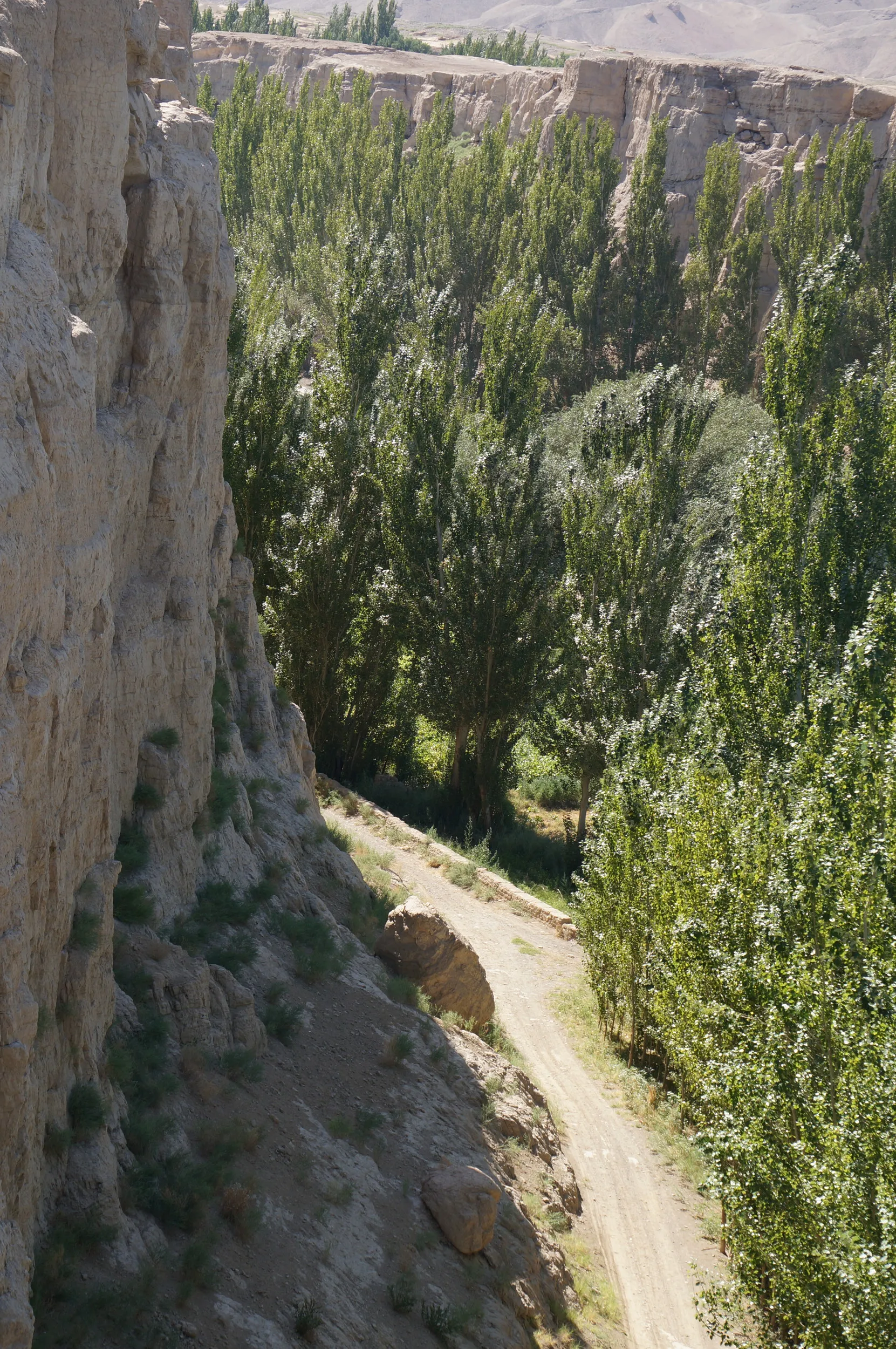 交河故城を観光