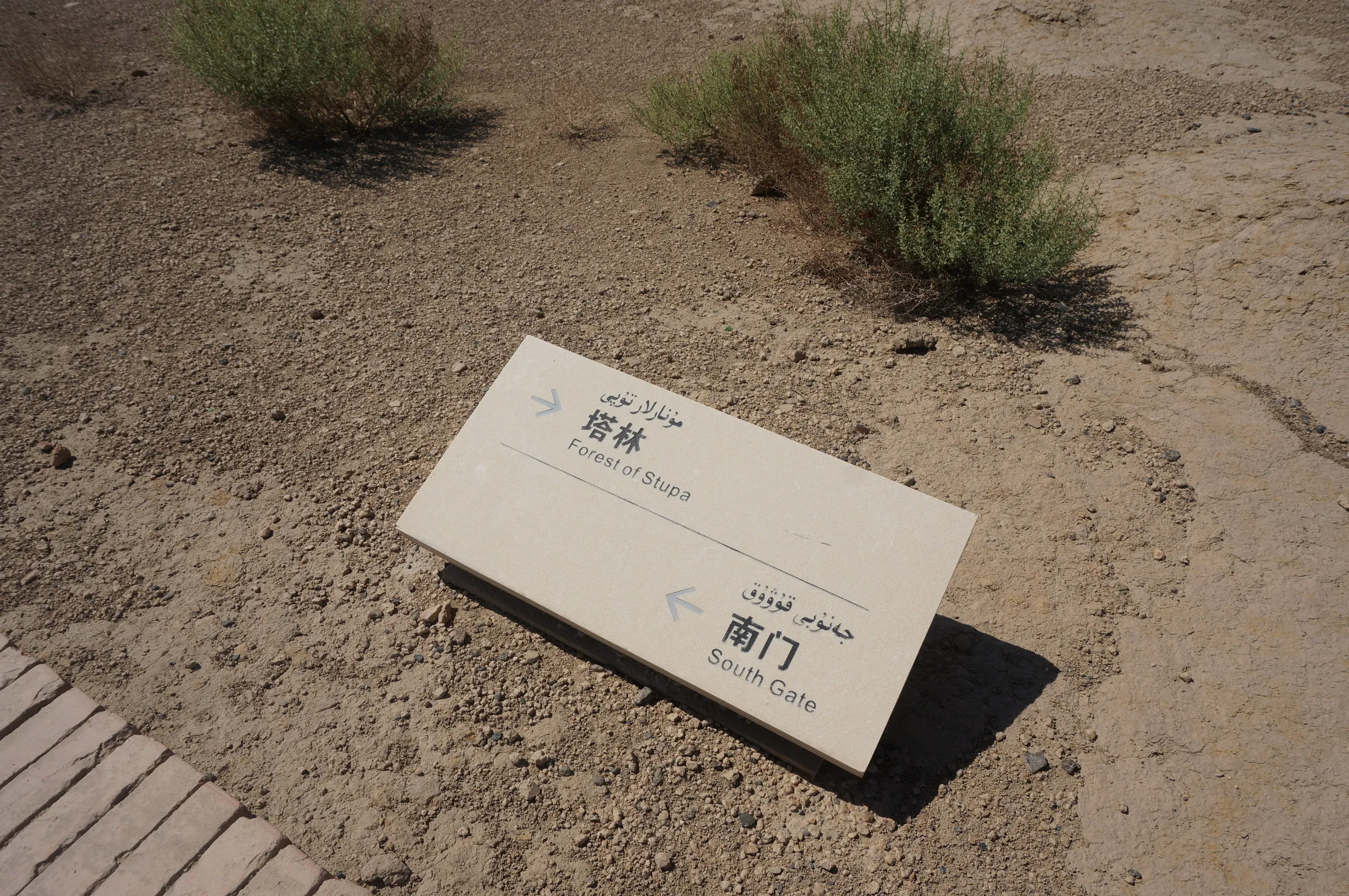 交河故城を観光