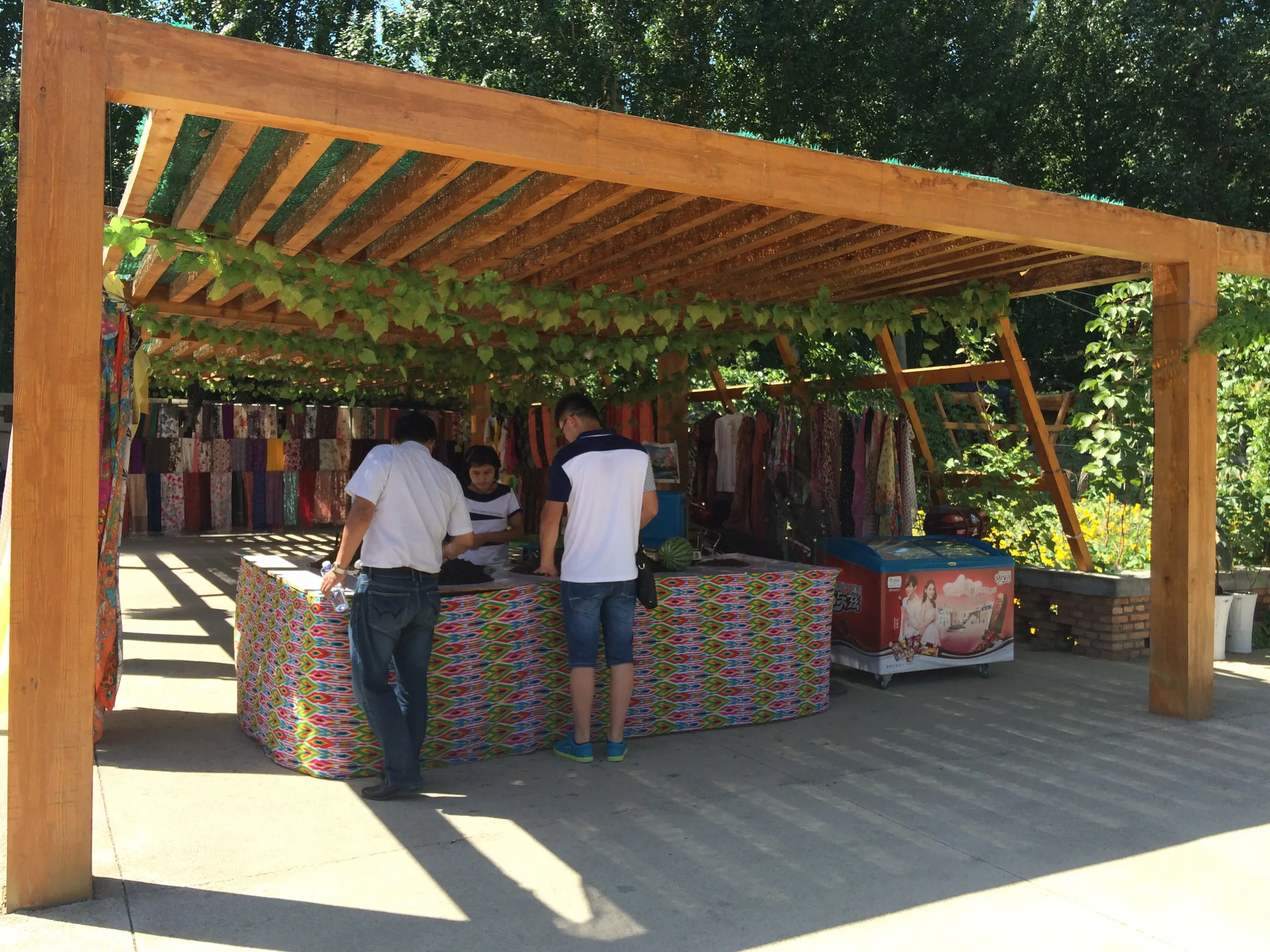 交河故城を観光