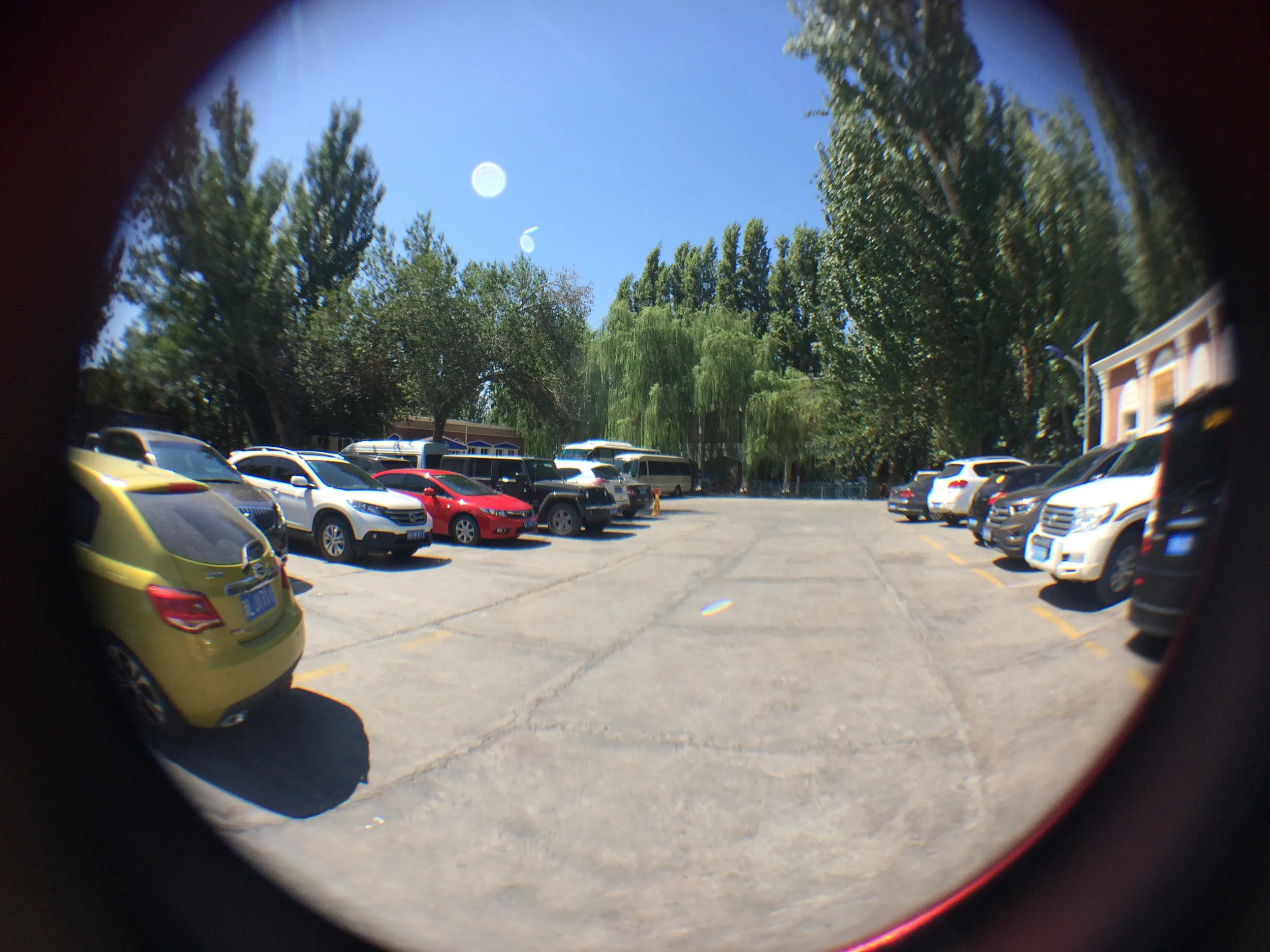 カレーズ楽園・カレーズ博物館を観光