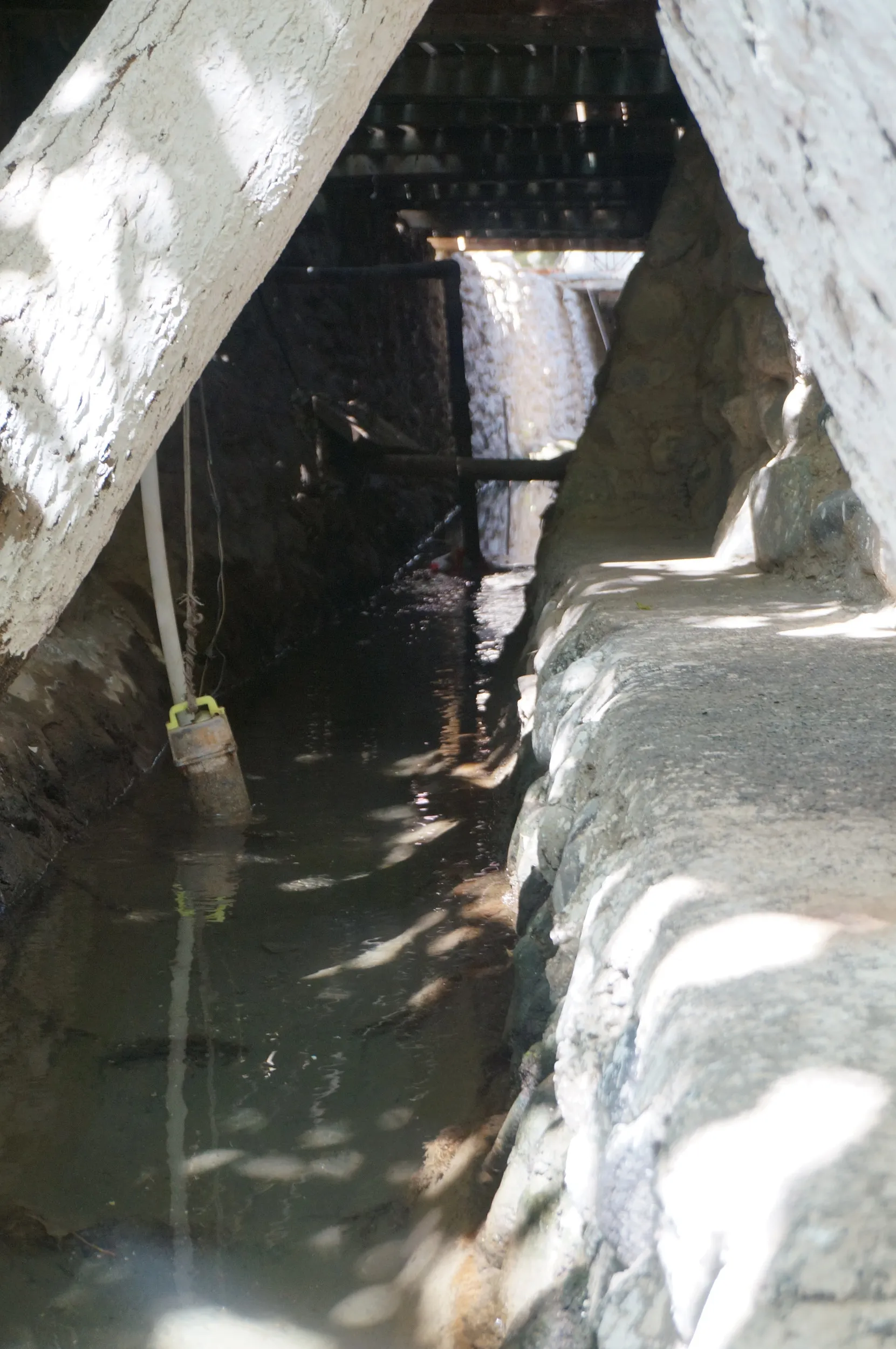 カレーズ楽園の風景