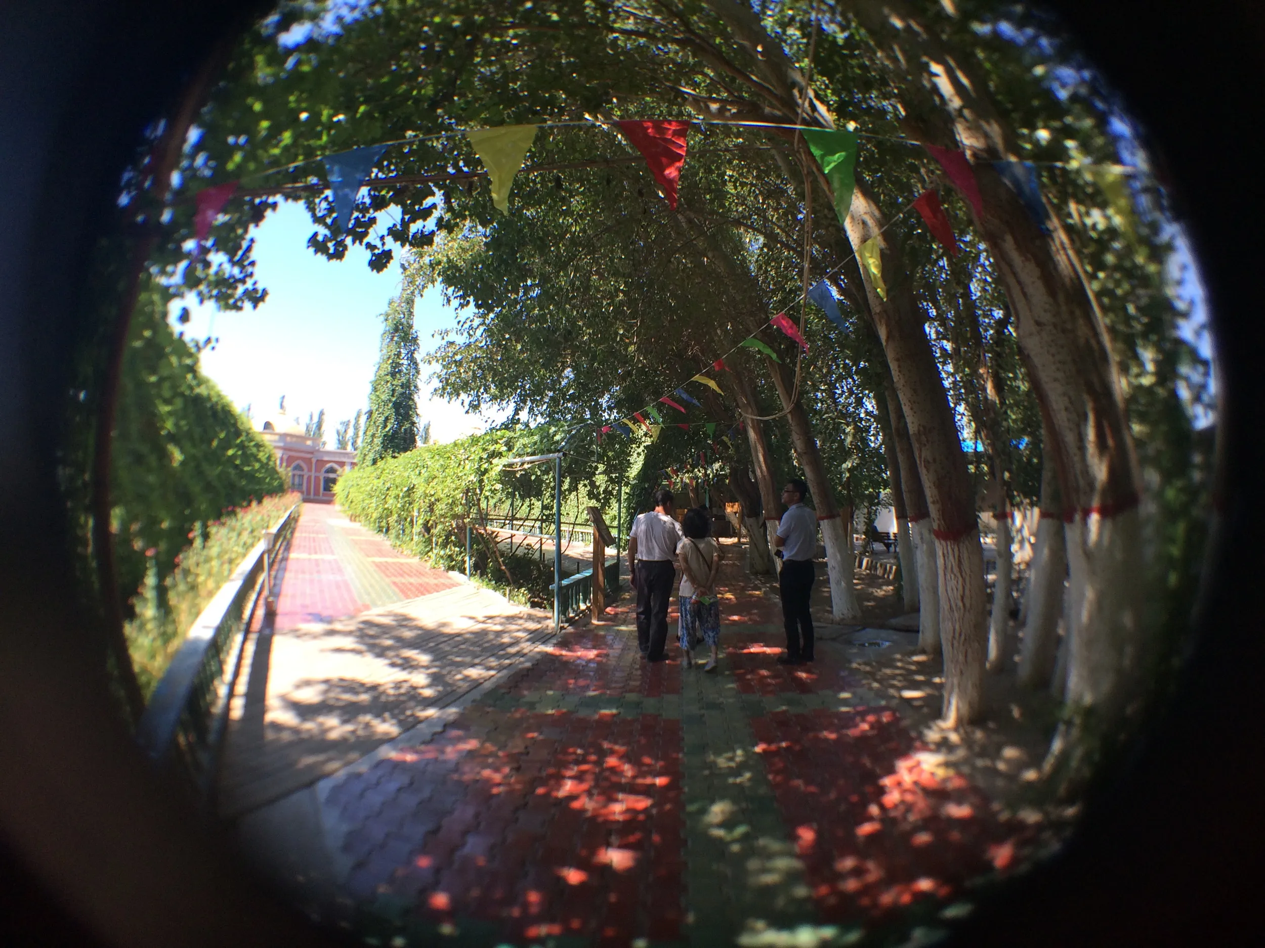 カレーズ楽園の風景