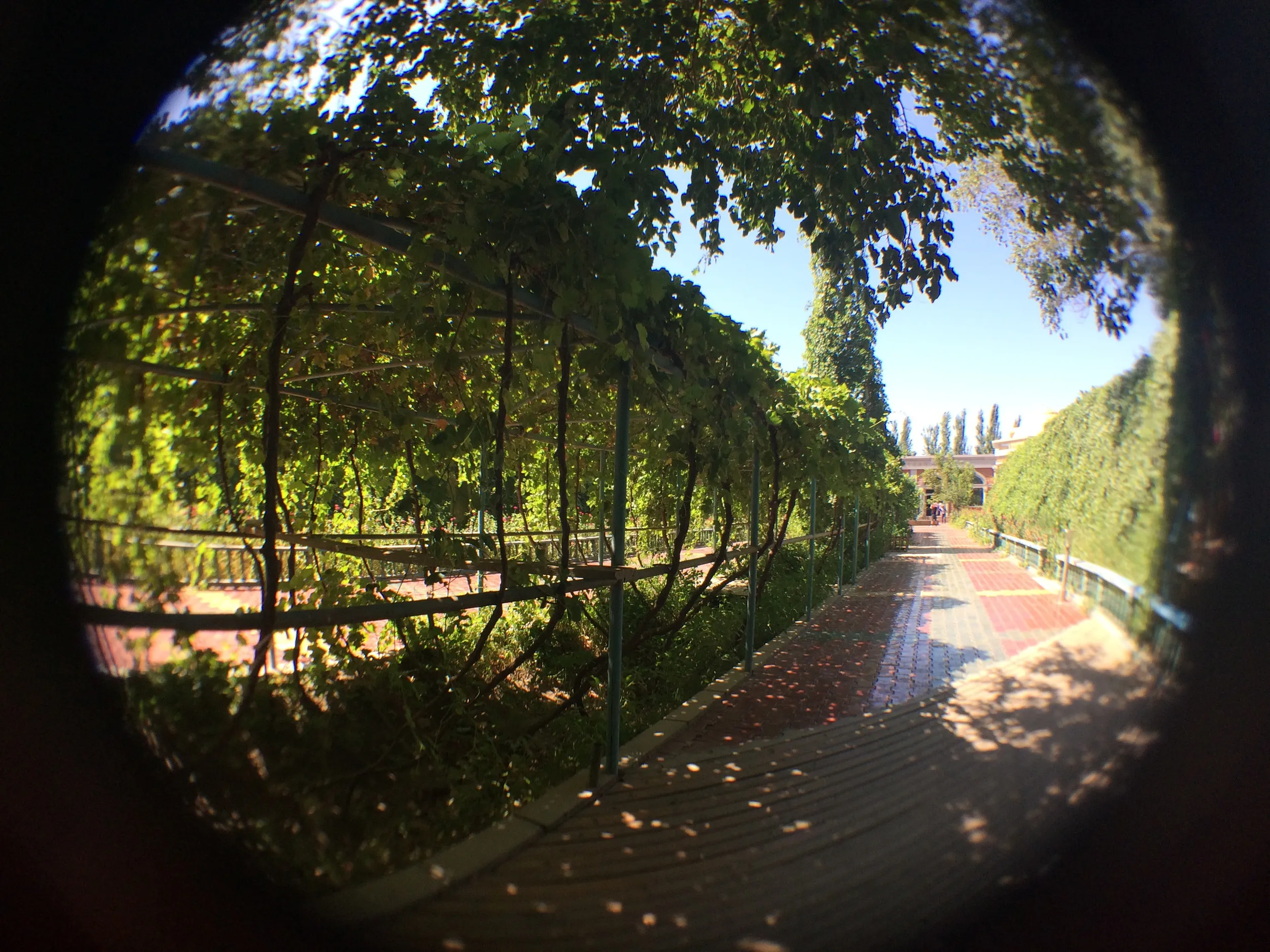 カレーズ楽園の風景