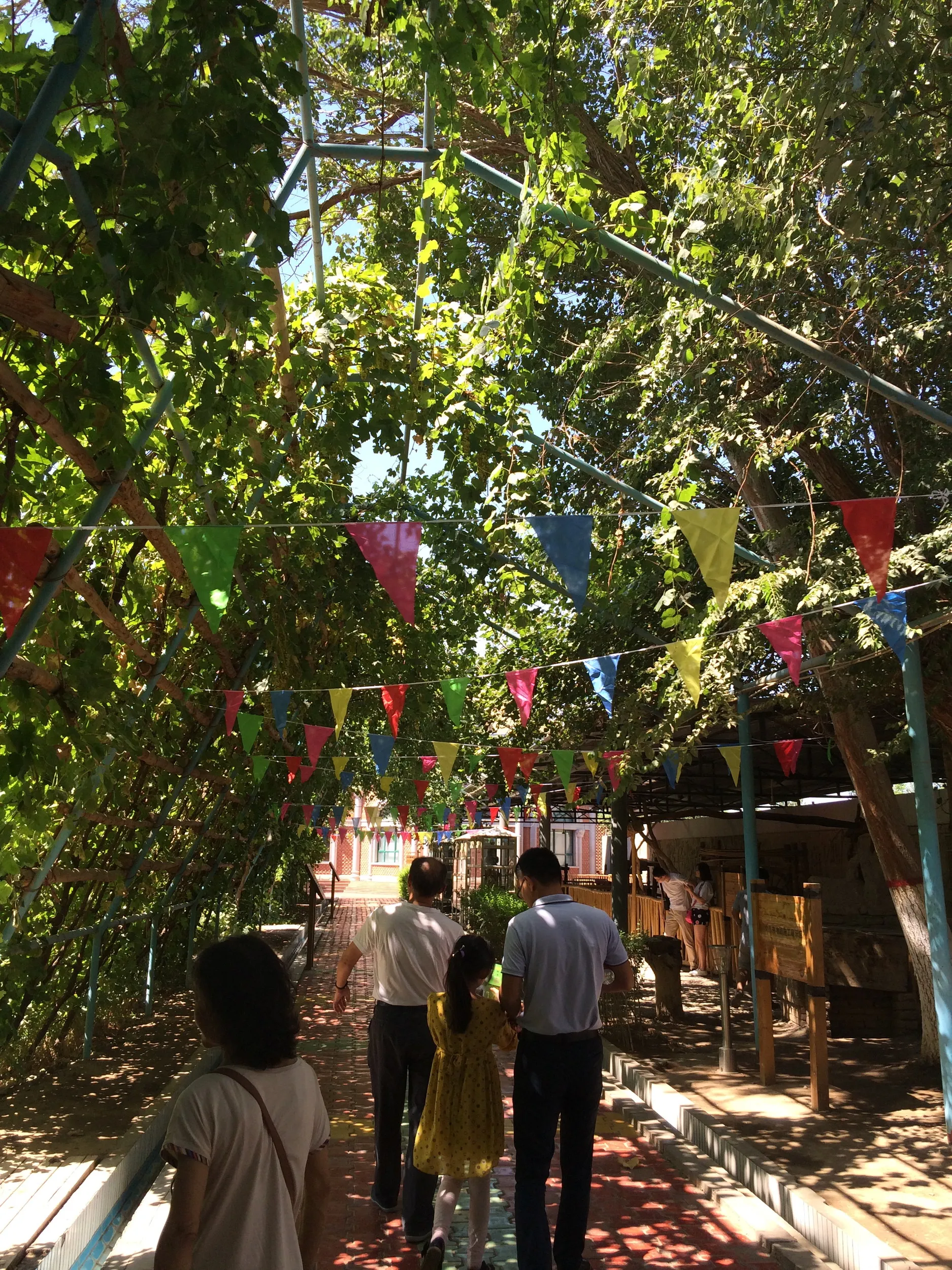 カレーズ楽園の風景