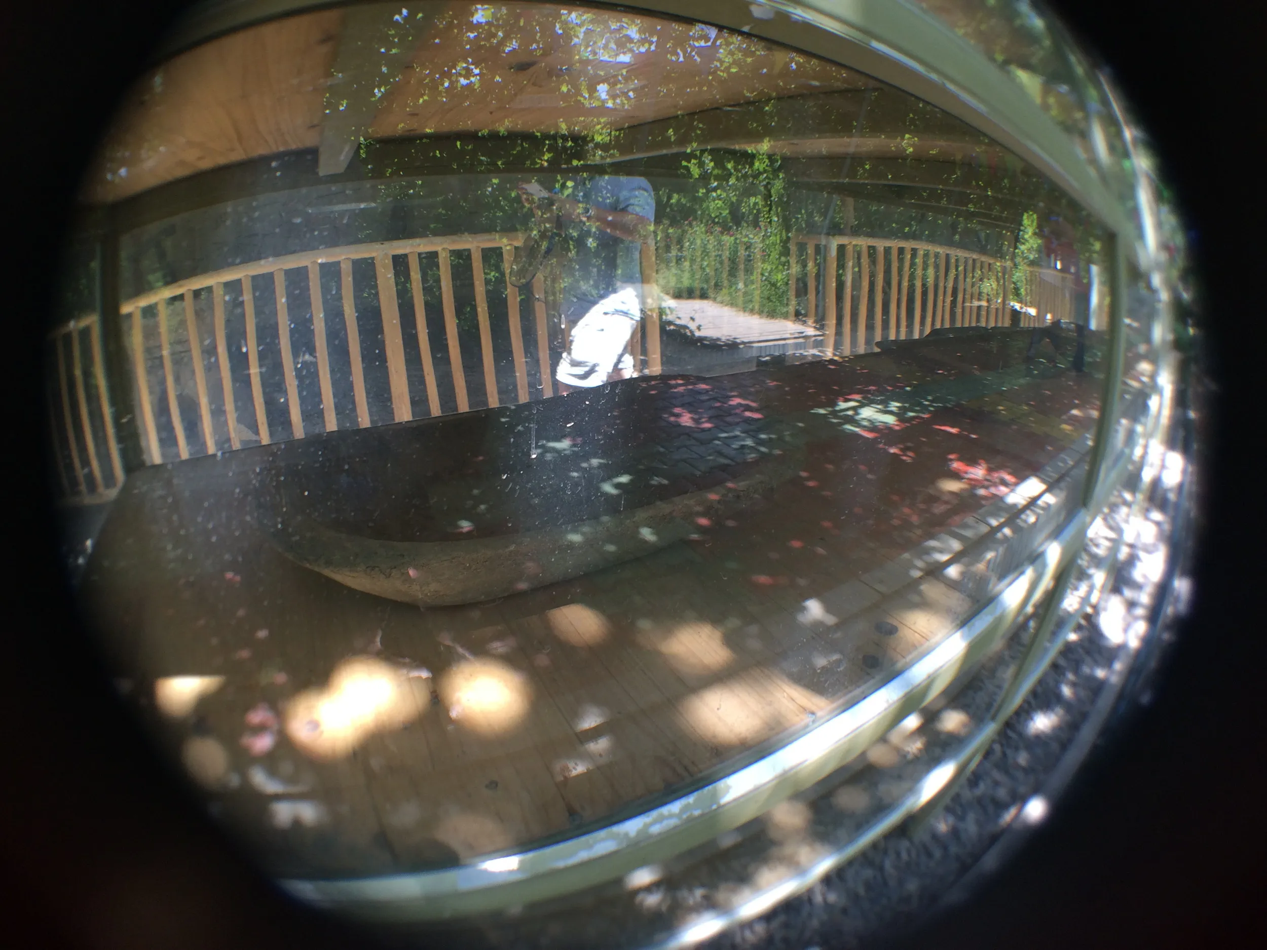 カレーズ楽園の展示