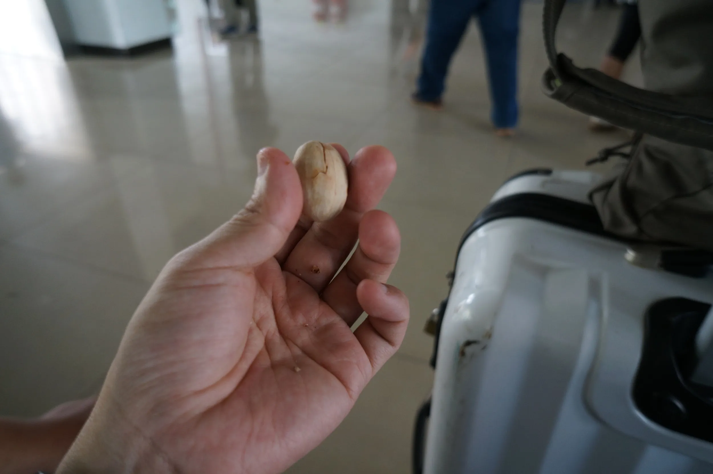 待合室で碧根果を食す