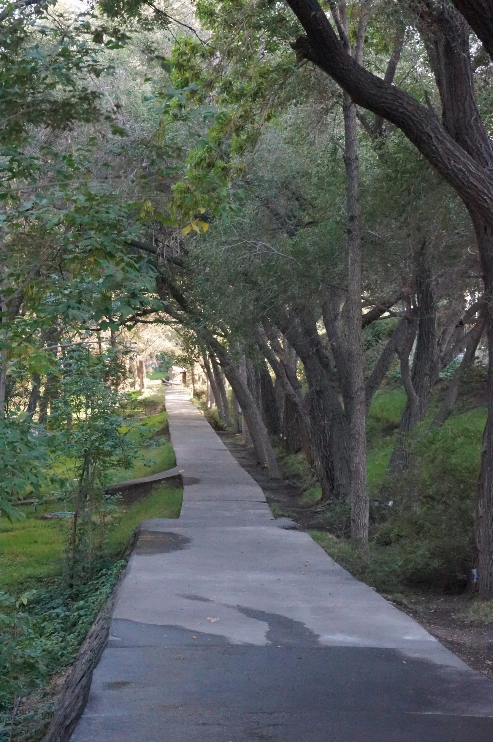 閉鎖されてる公園