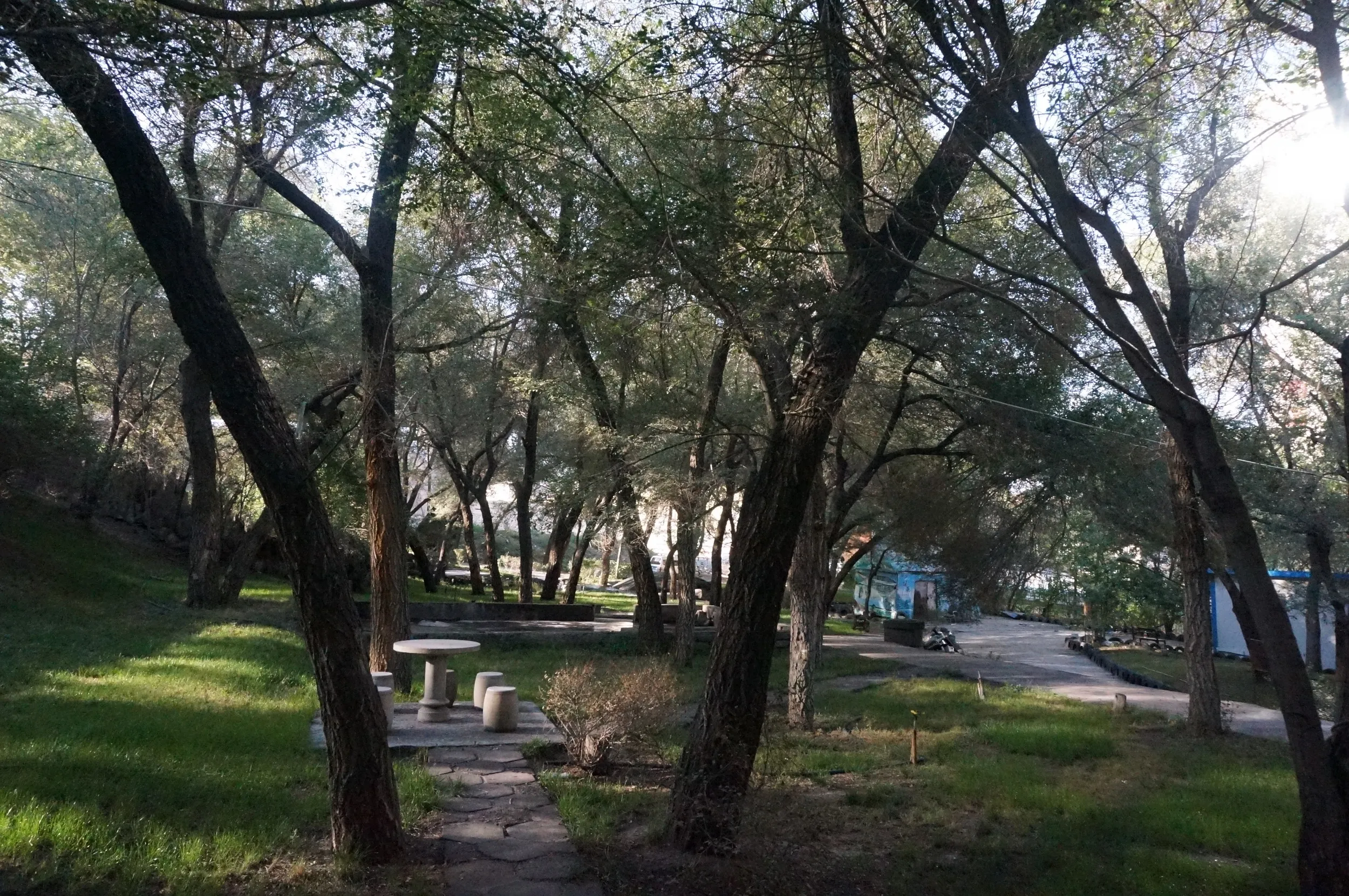 閉鎖されてる公園