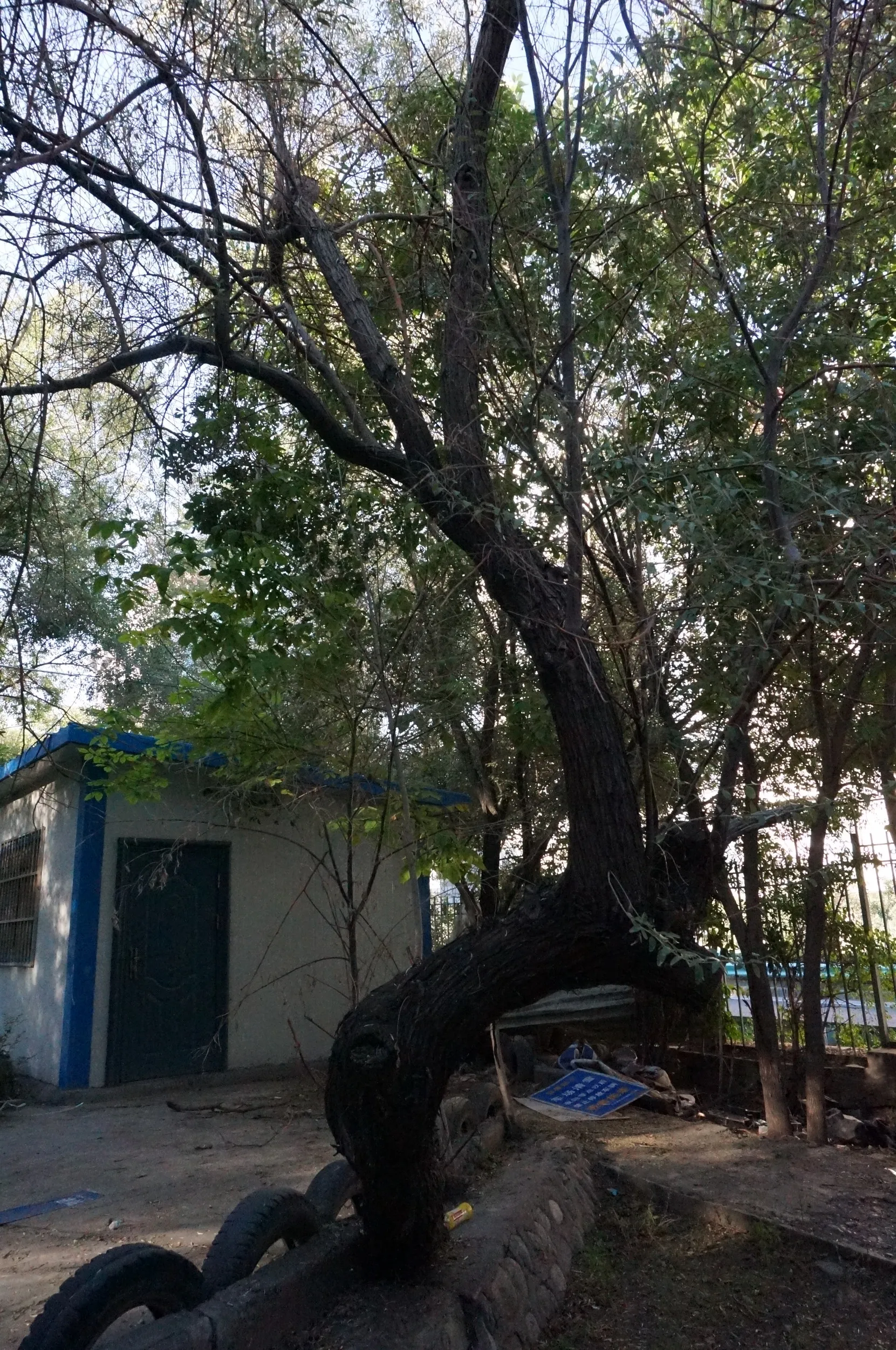 閉鎖されてる公園