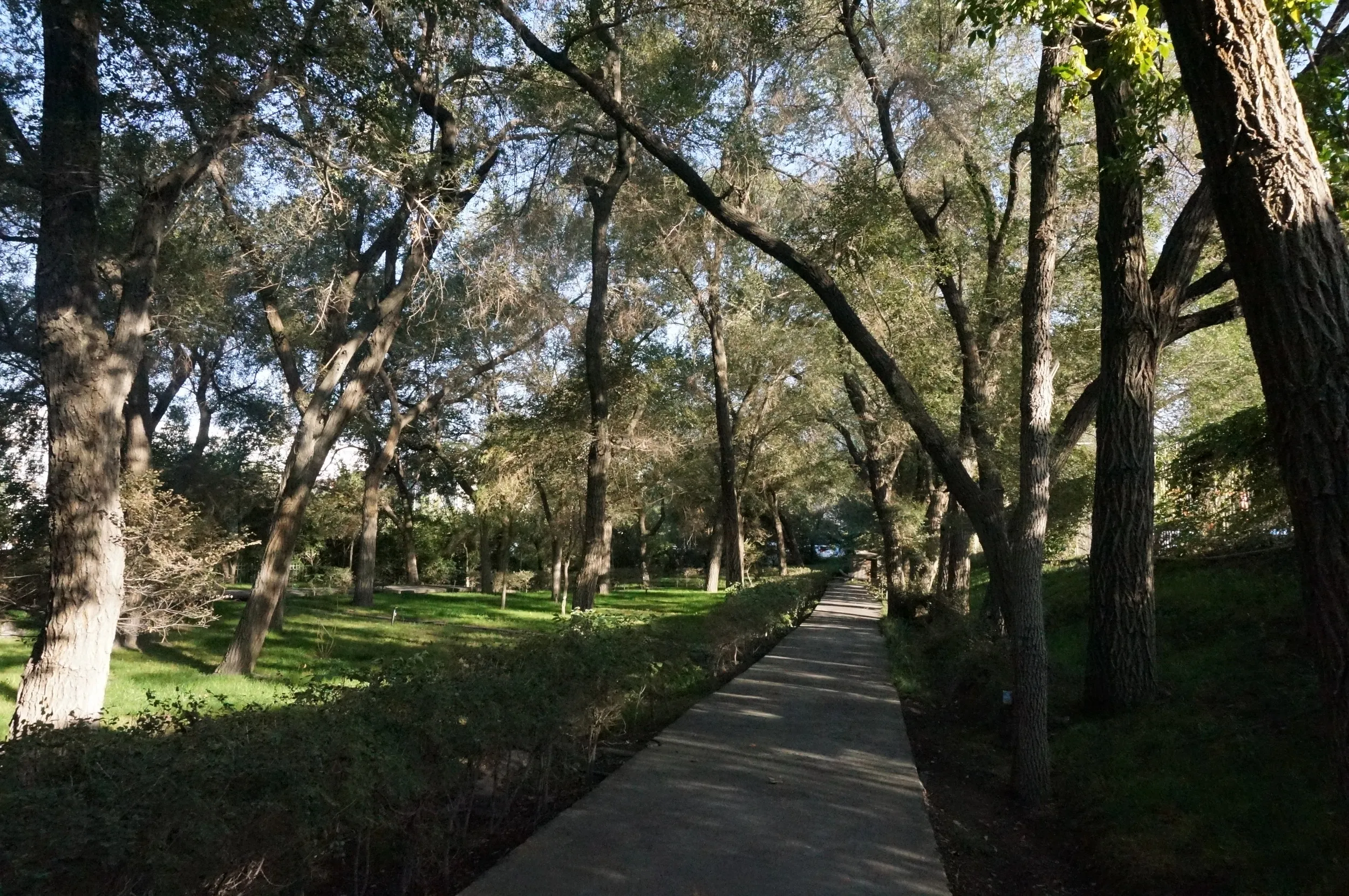 閉鎖されてる公園