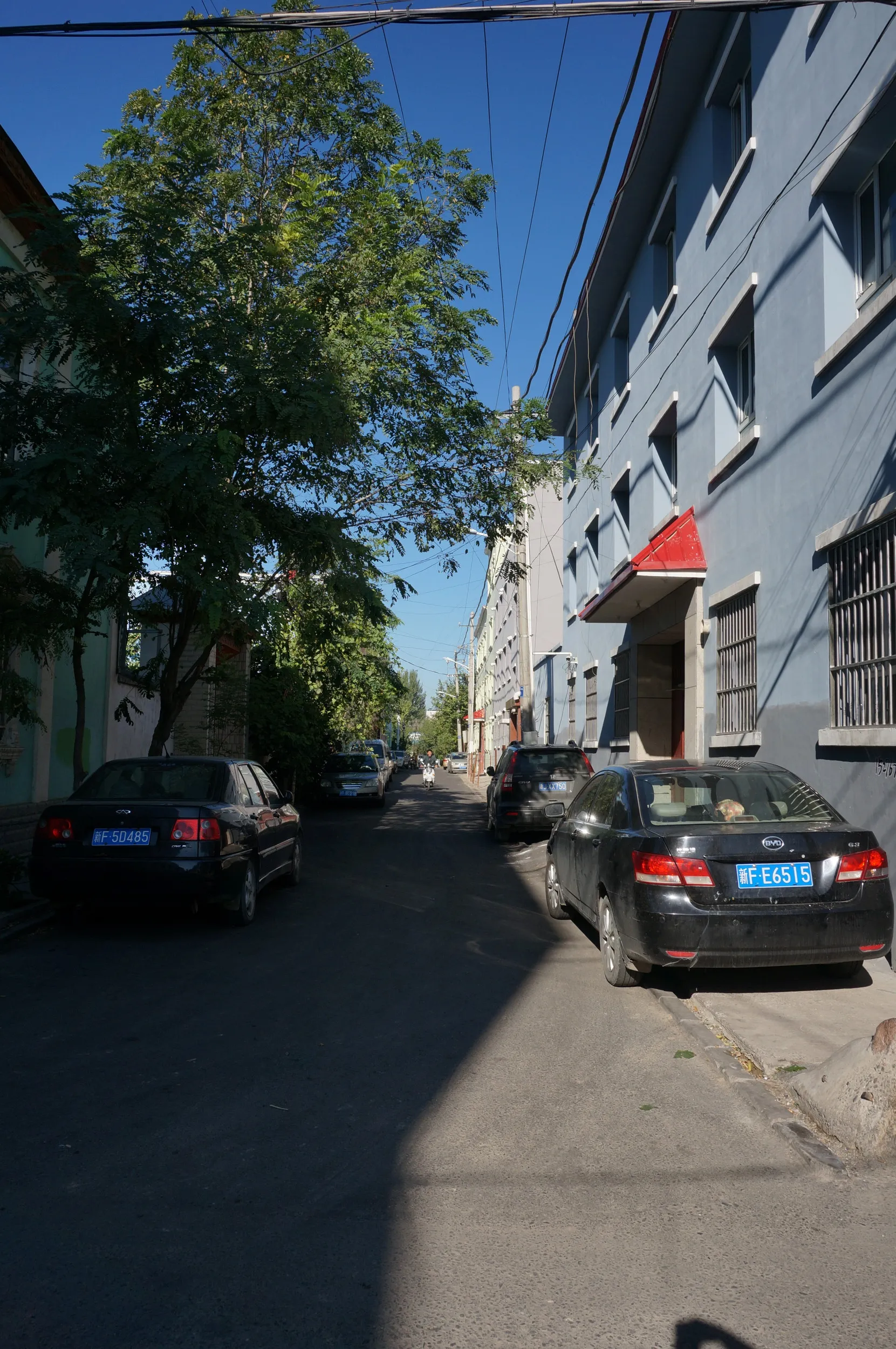 イリ伊桟ユースホステル周辺を軽く散歩