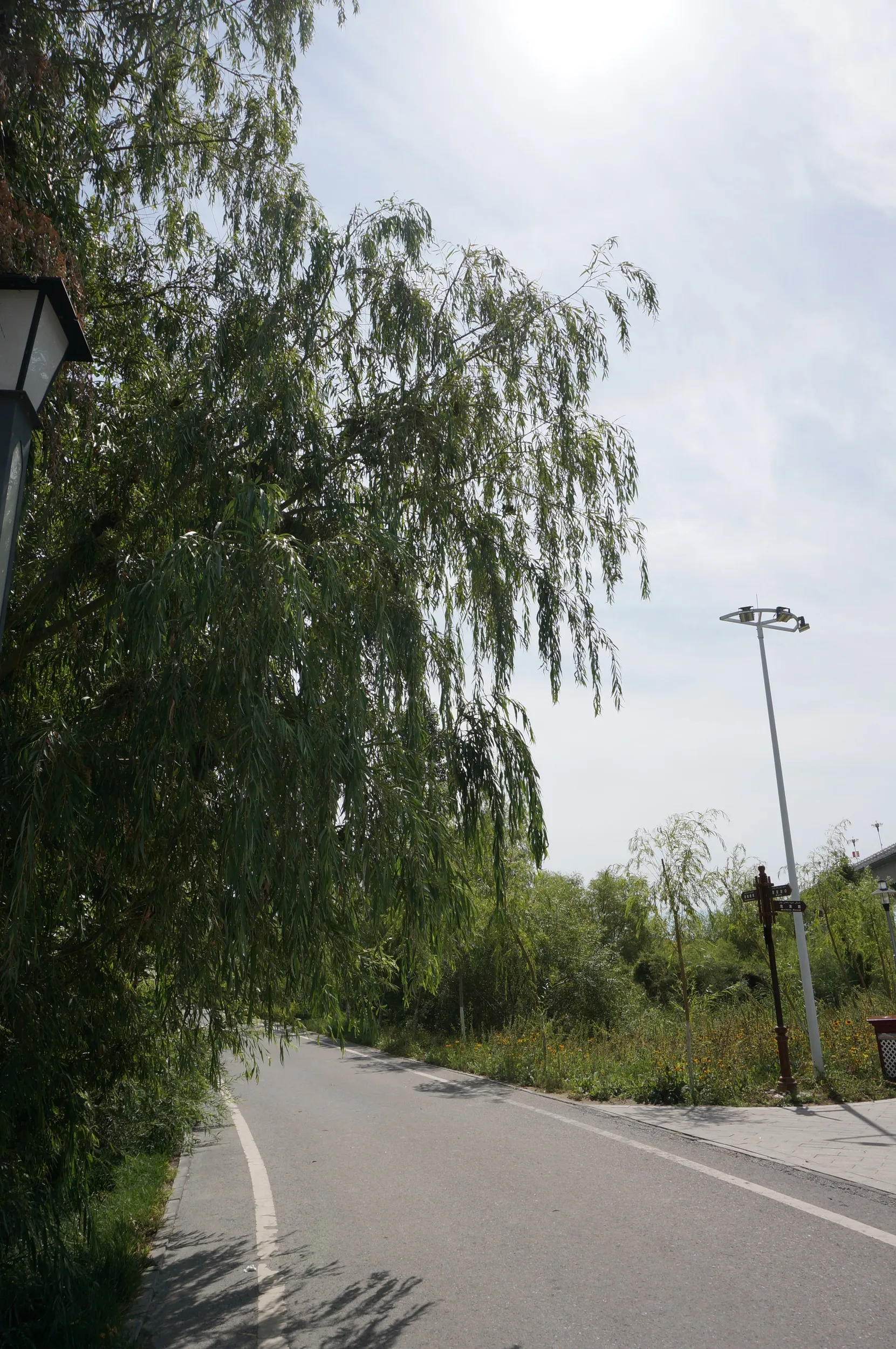 イリ河大橋（新橋）の河畔