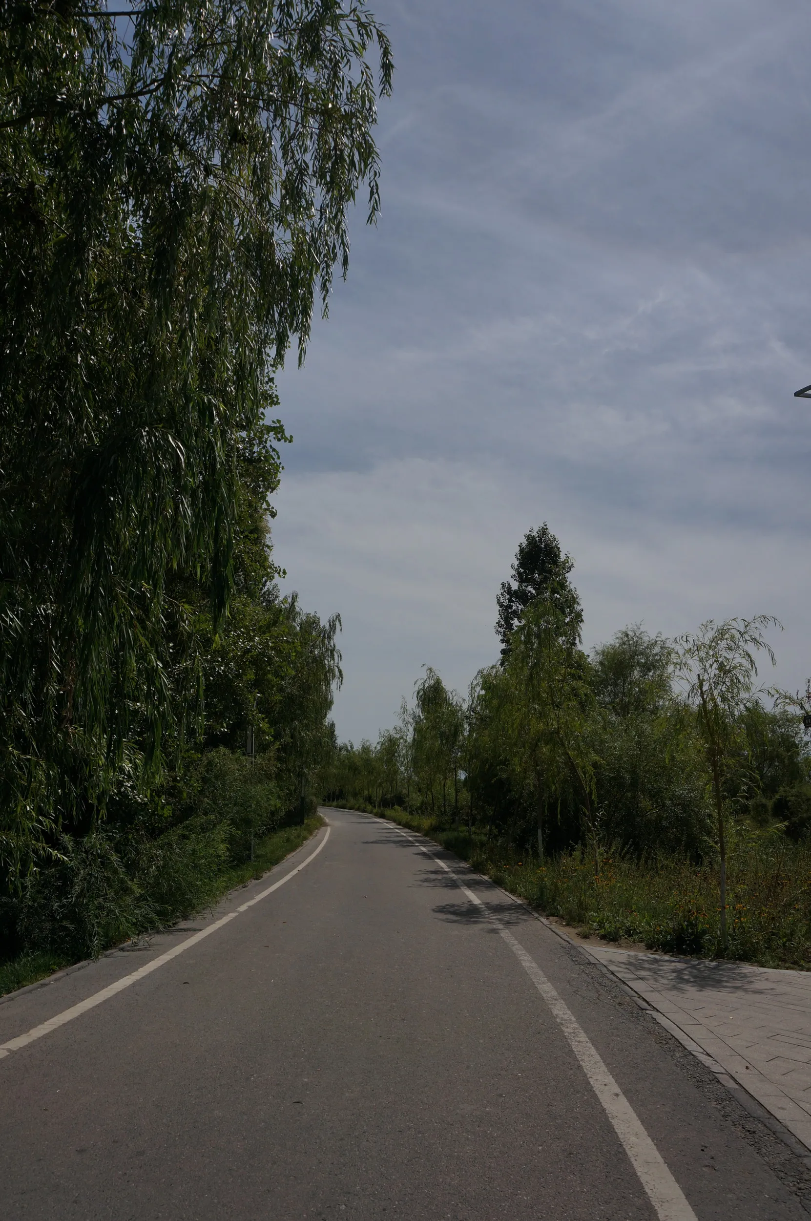 サイクリングロード