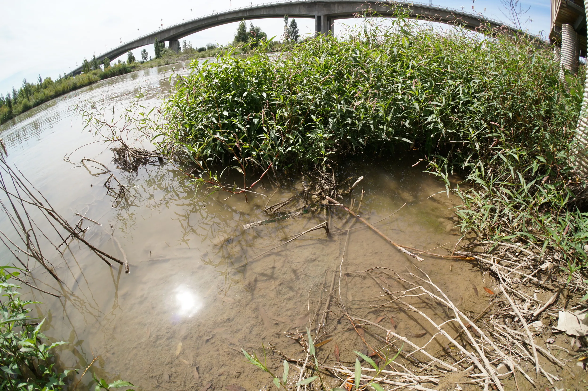 川面とイリ河大橋前の風景