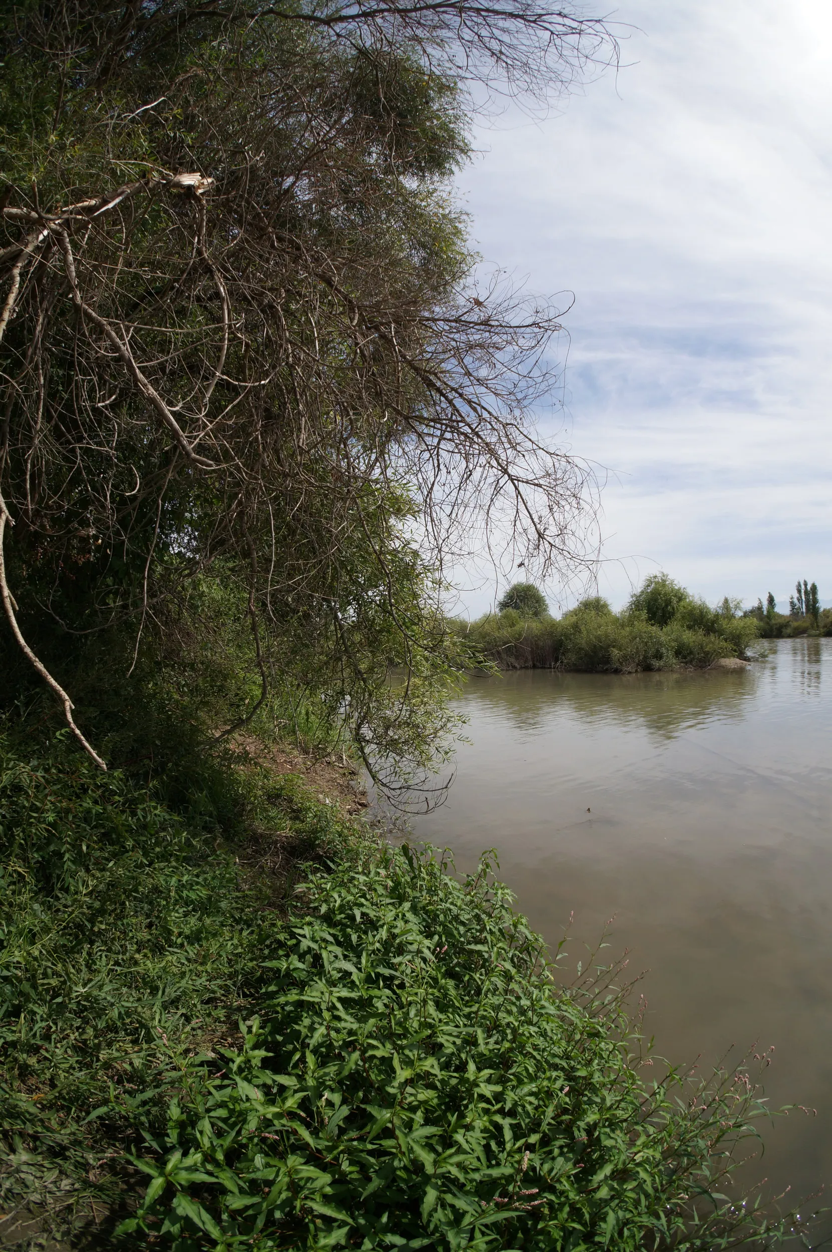 イリ河と大橋付近の風景
