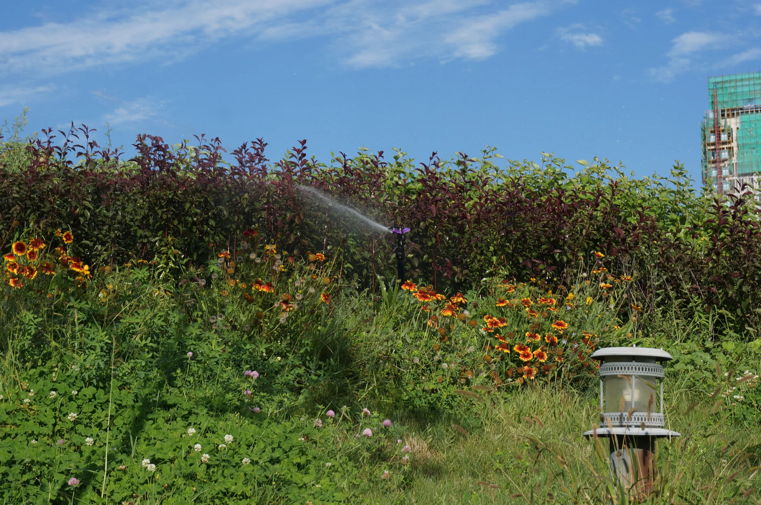 イリ河大橋の河畔