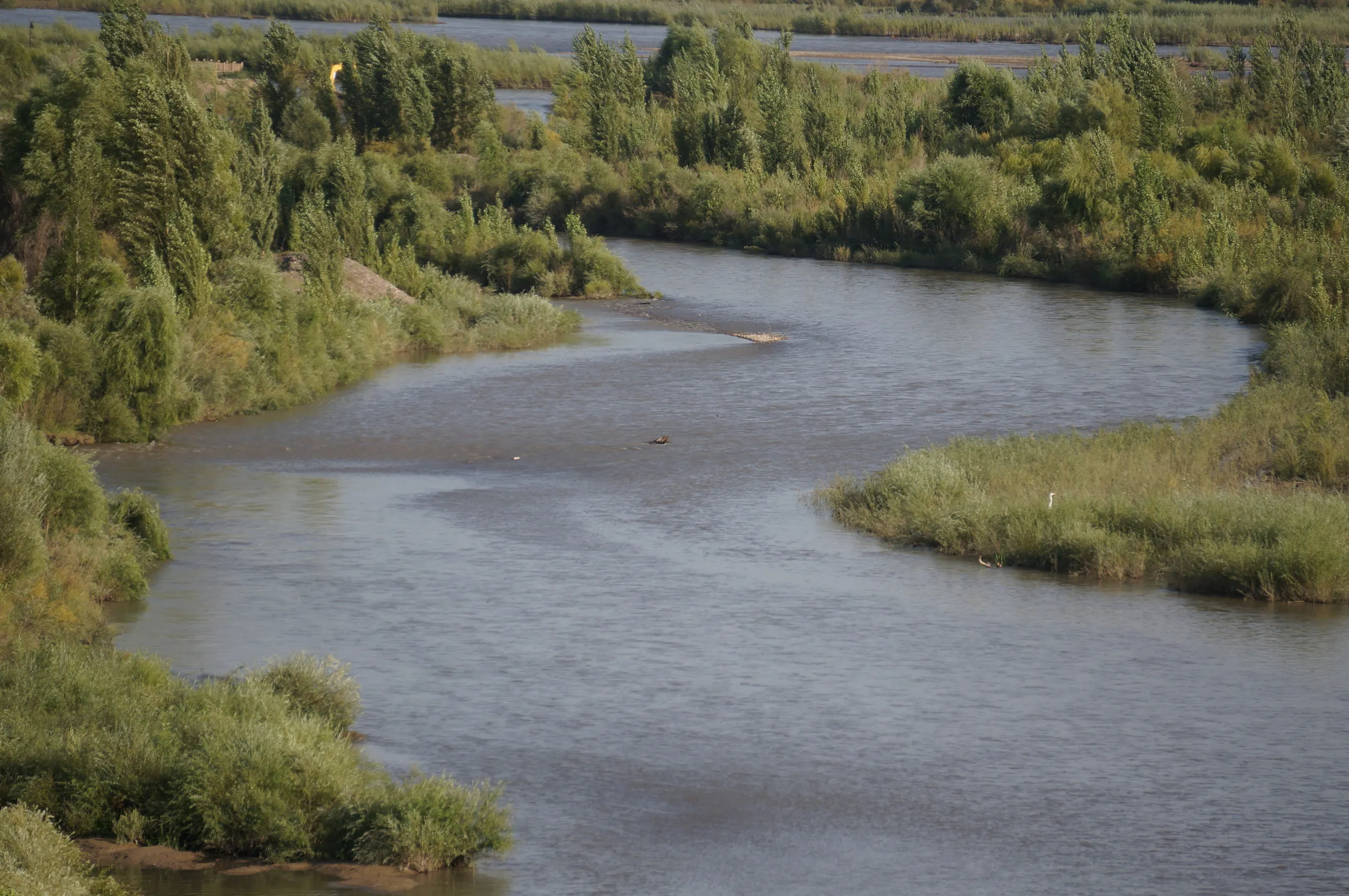イリ河大橋の上からイリ河を眺める