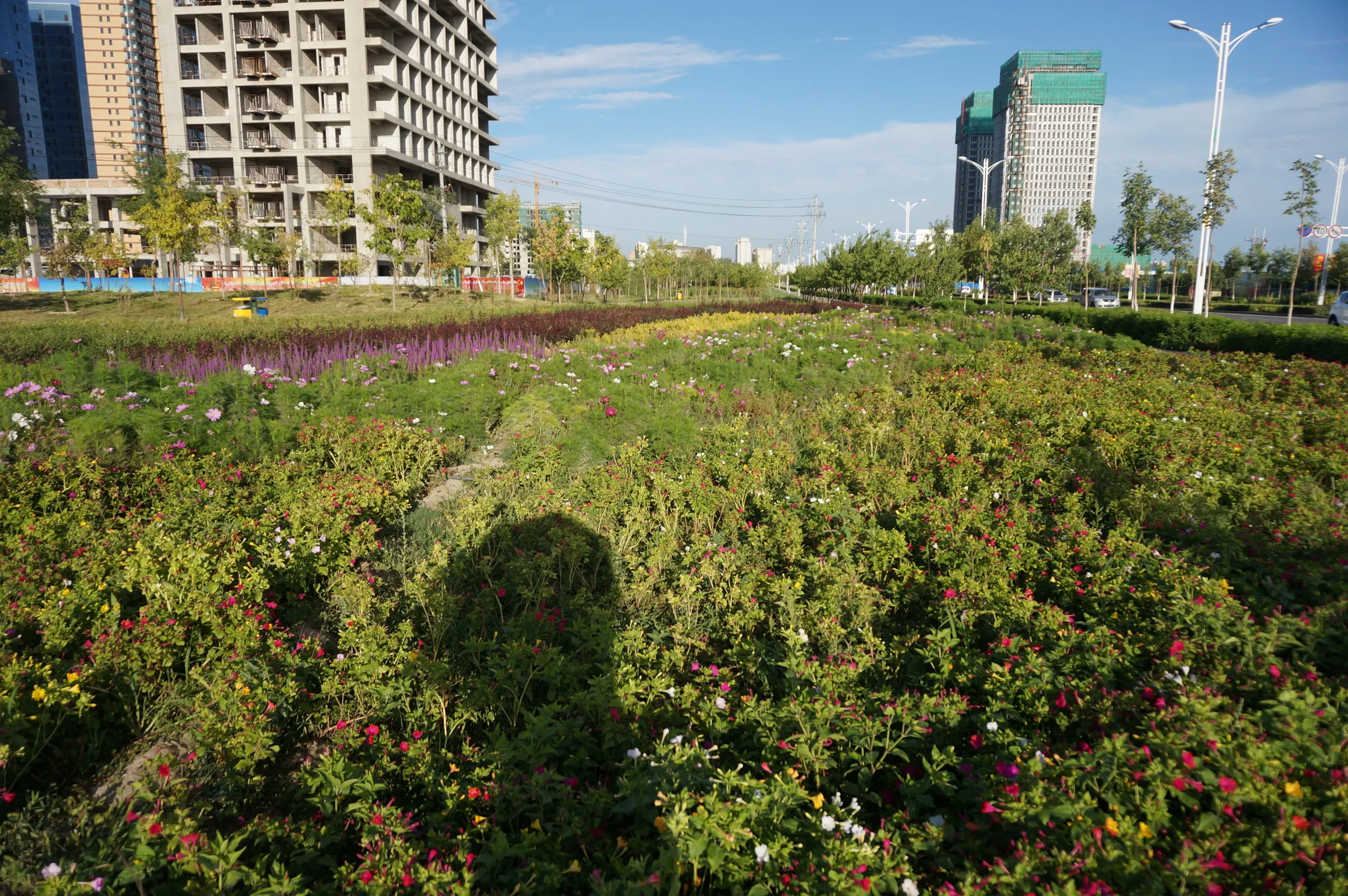 イリ河大橋の入り口
