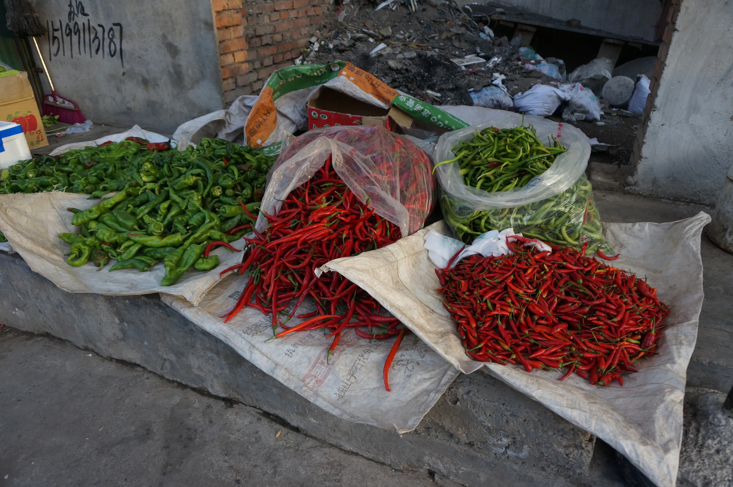 売られていた唐辛子