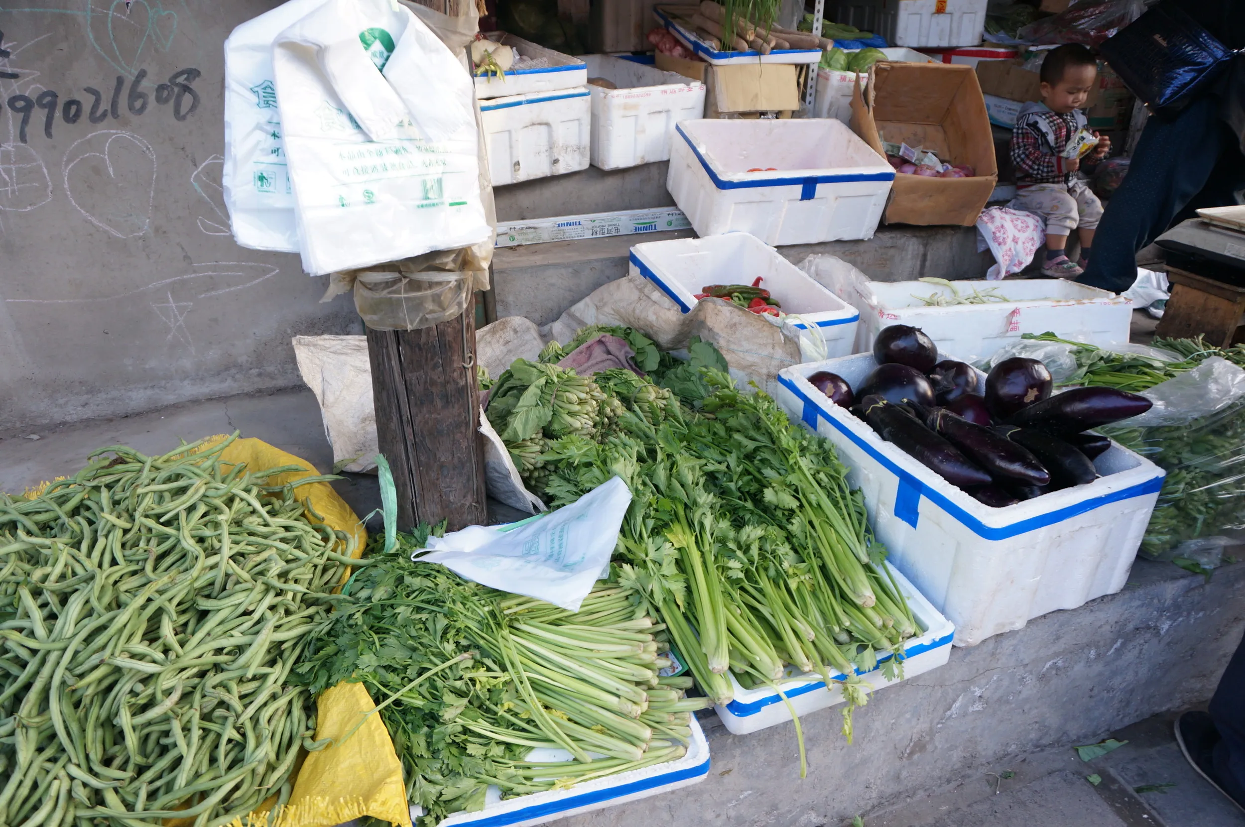 売られていた野菜