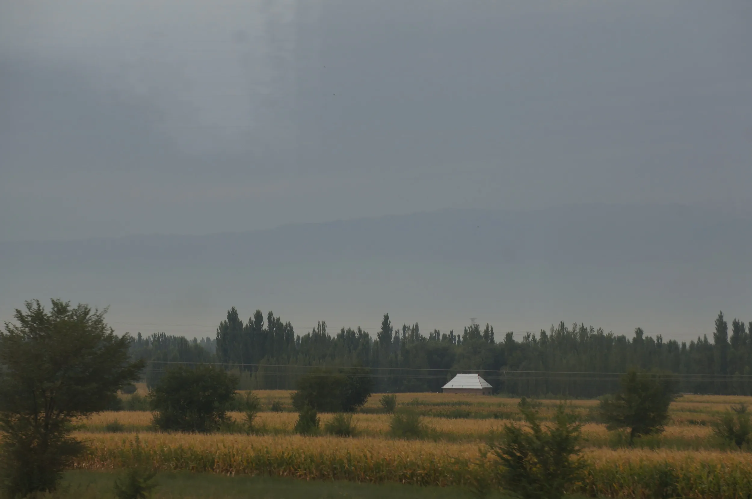 天山山脈が見える