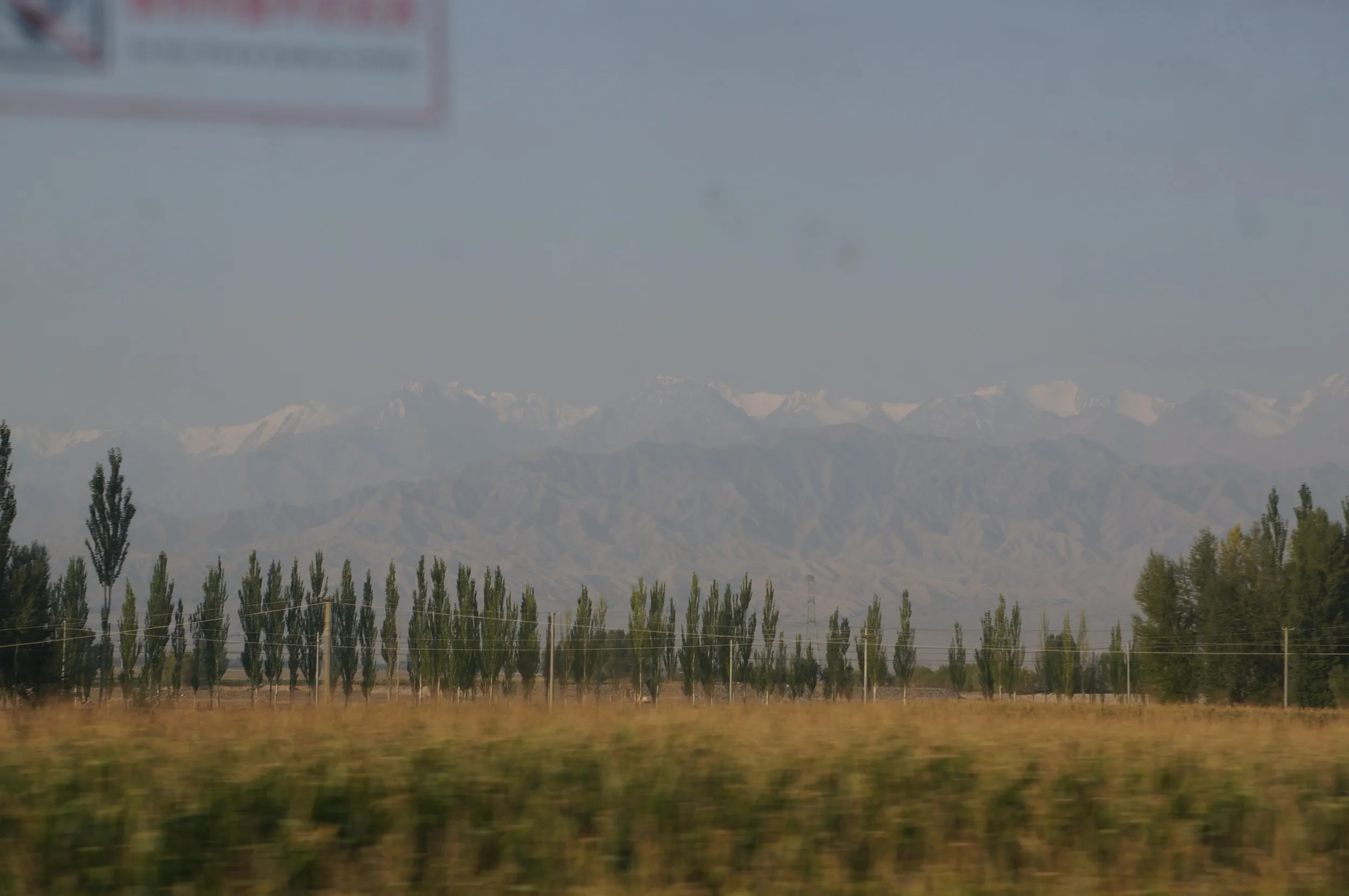 冠雪した天山山脈が見える