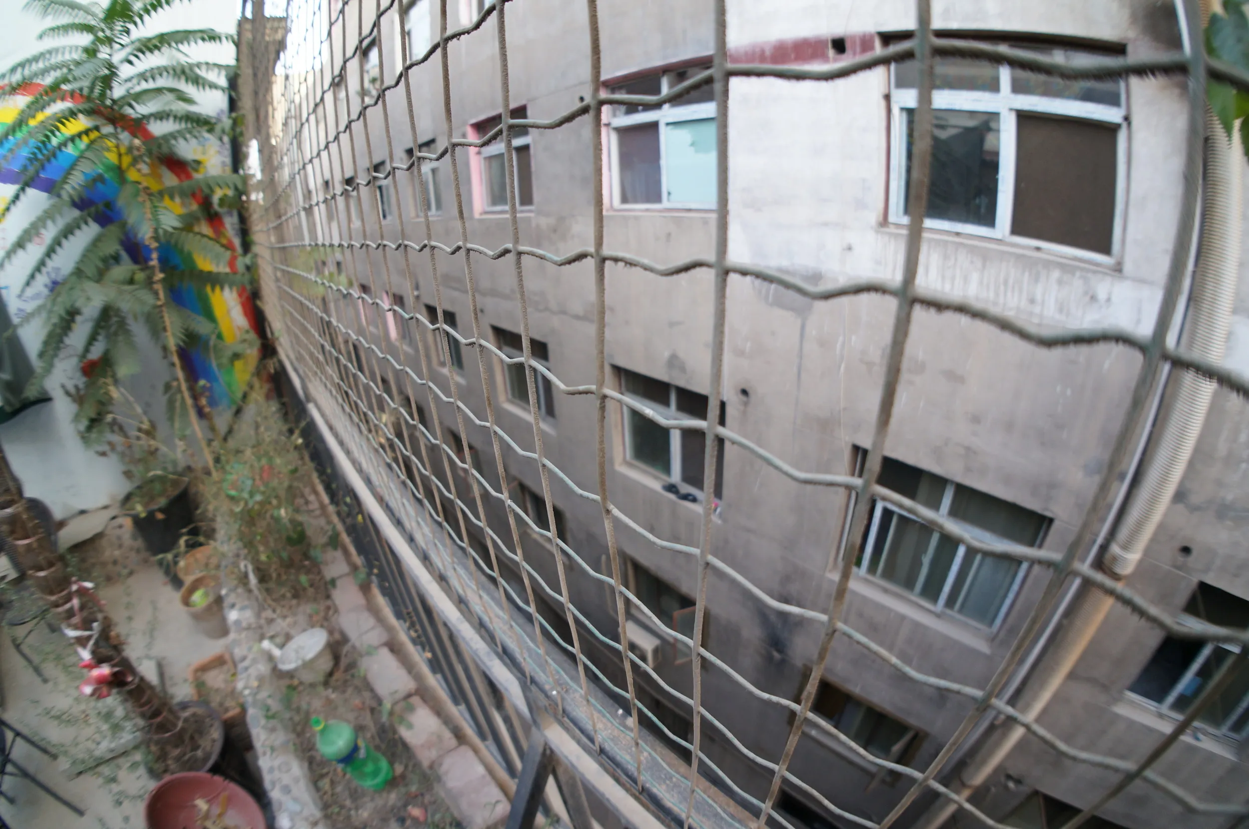 四階から外を眺め下す