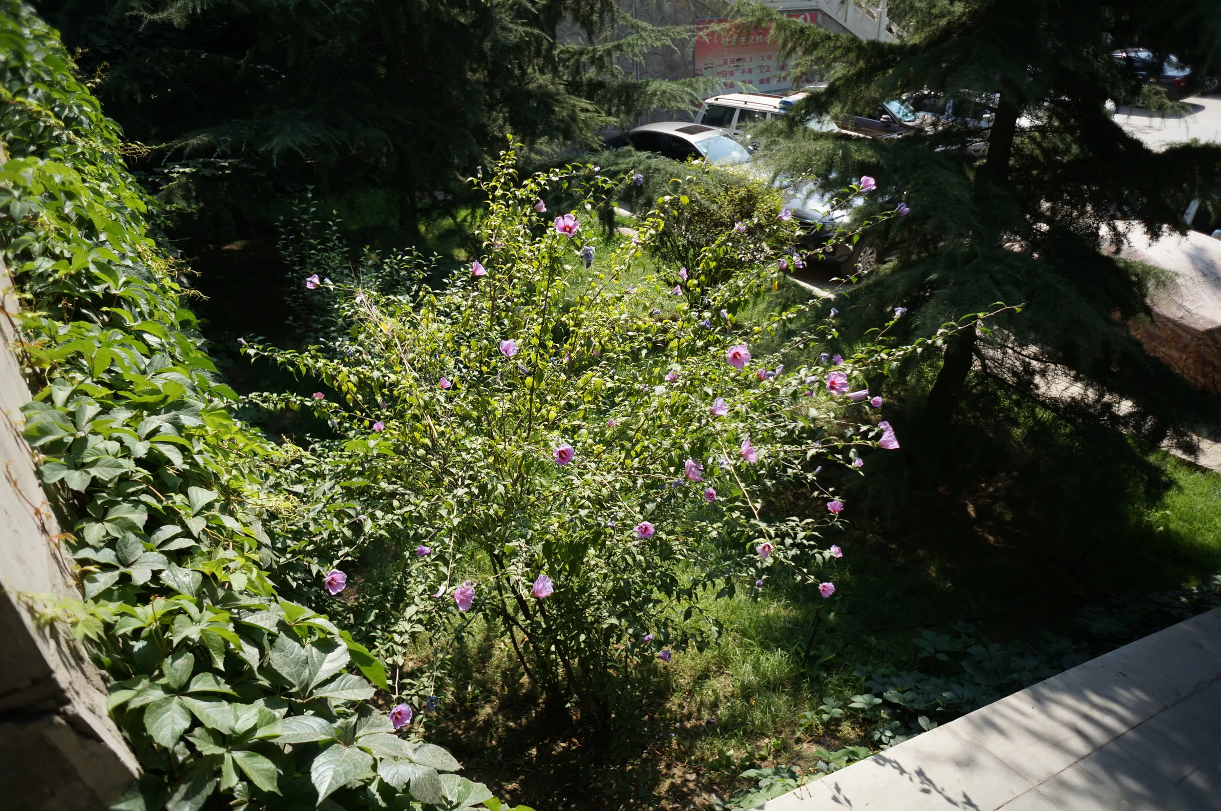 白塔山公園を散歩