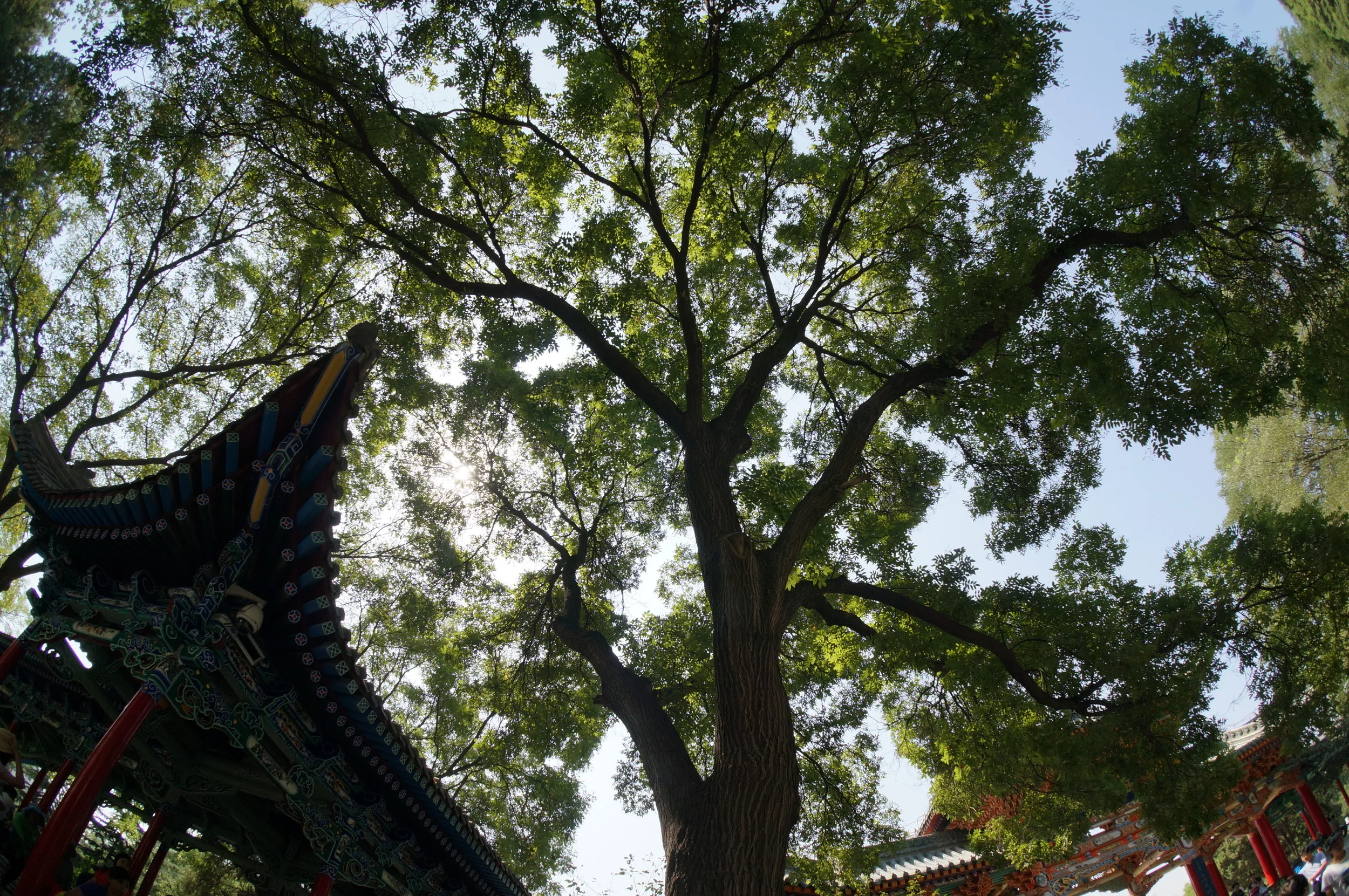 白塔山公園を散歩