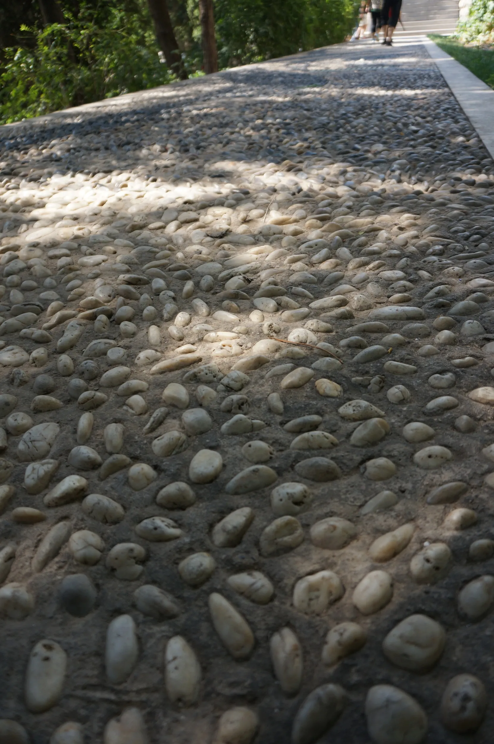 白塔山公園の遊歩道